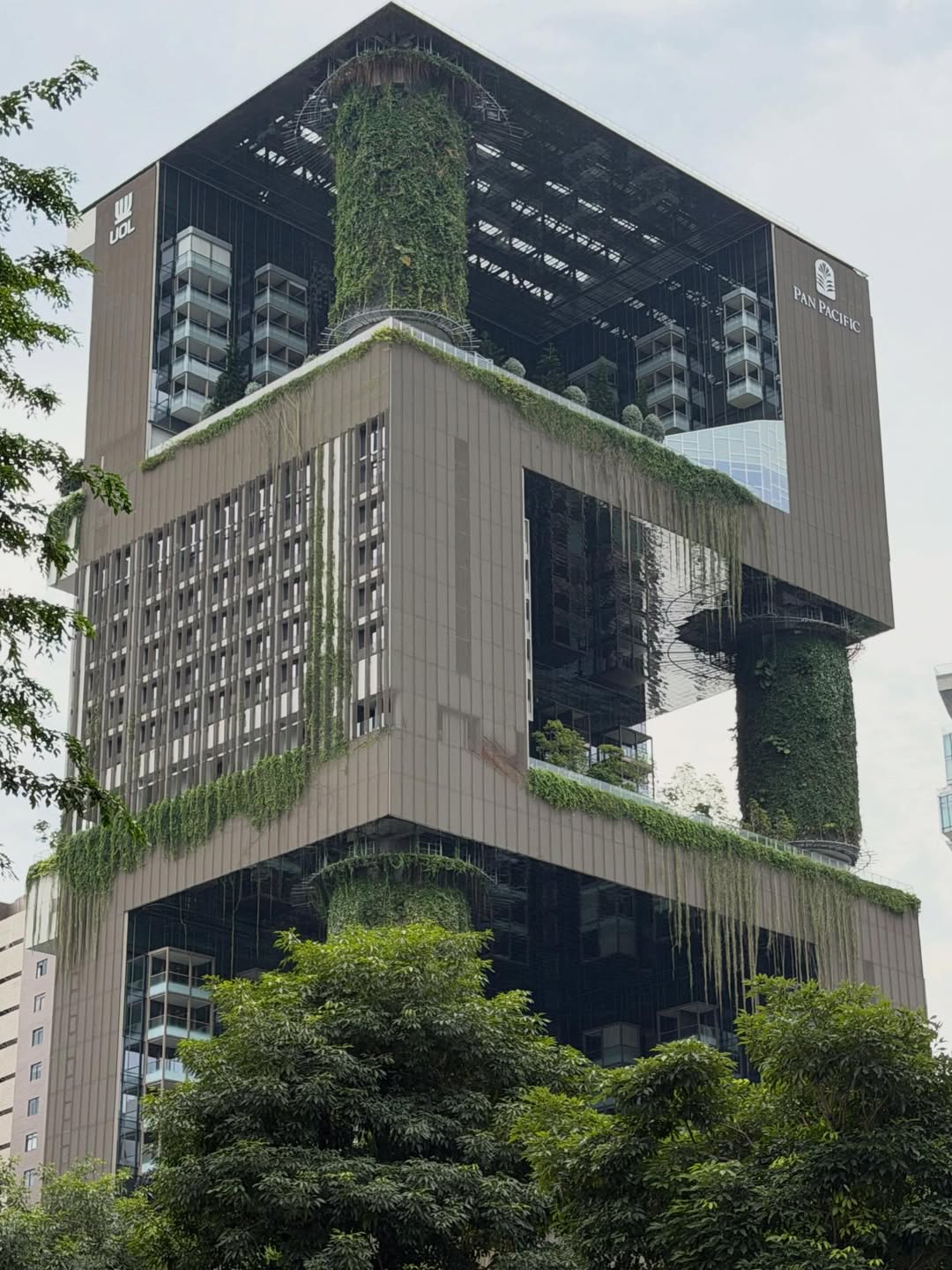 คารีสา สปริงเก็ตต์