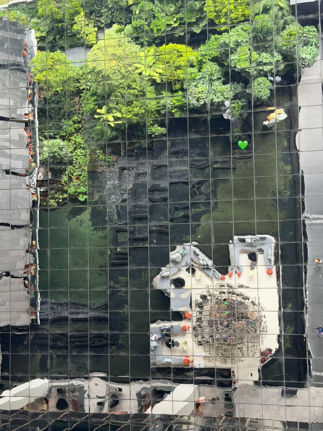 คารีสา สปริงเก็ตต์