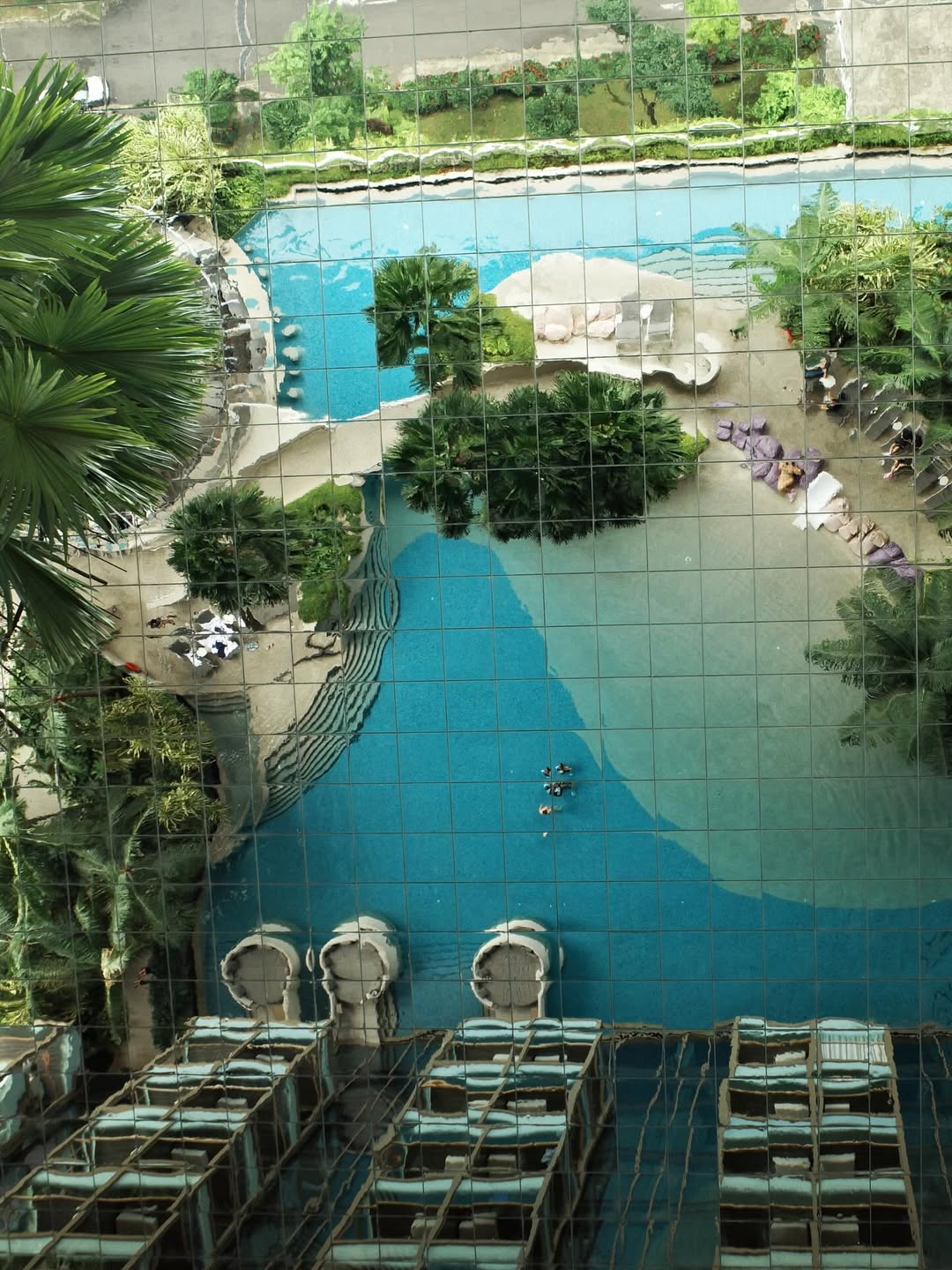 คารีสา สปริงเก็ตต์