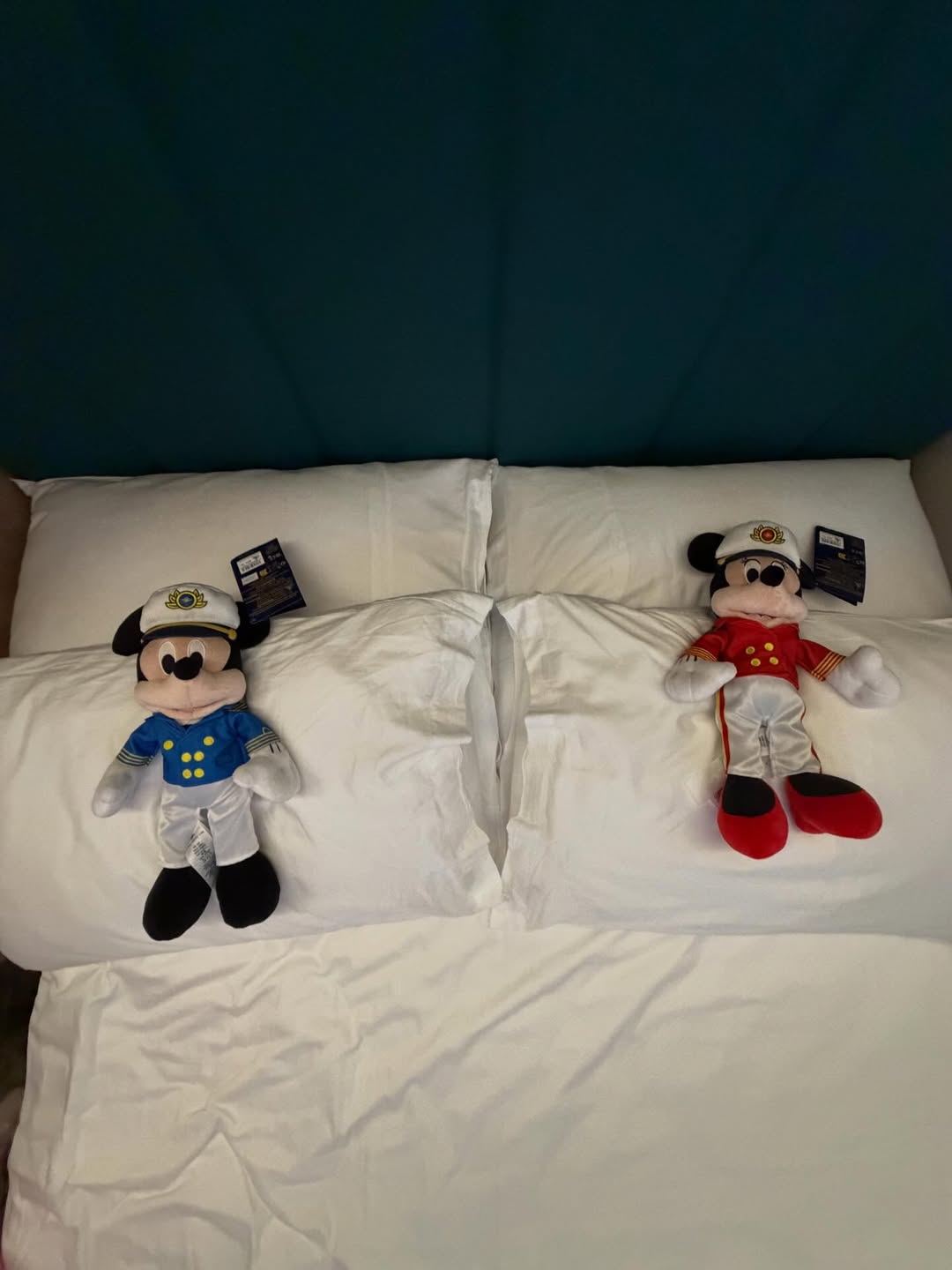 คารีสา สปริงเก็ตต์