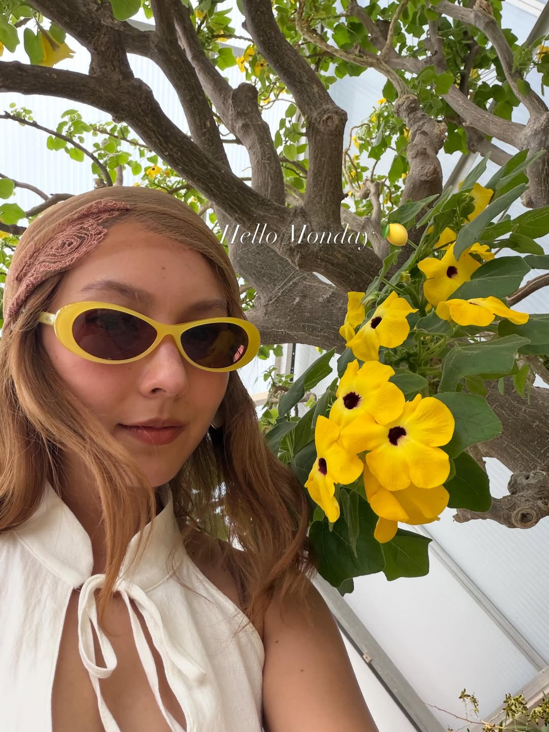 คารีสา สปริงเก็ตต์