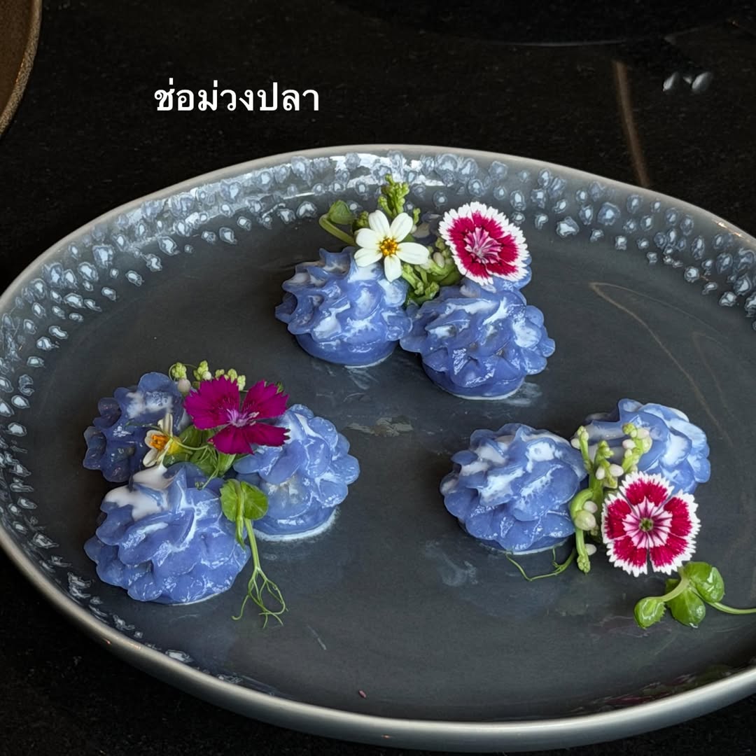 คารีสา สปริงเก็ตต์