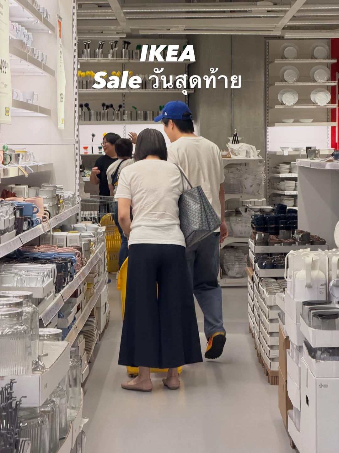 คารีสา สปริงเก็ตต์