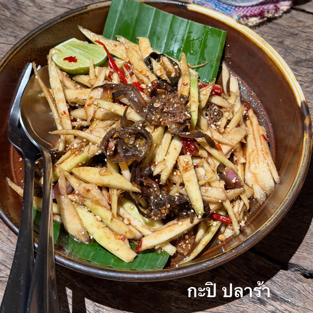 คารีสา สปริงเก็ตต์