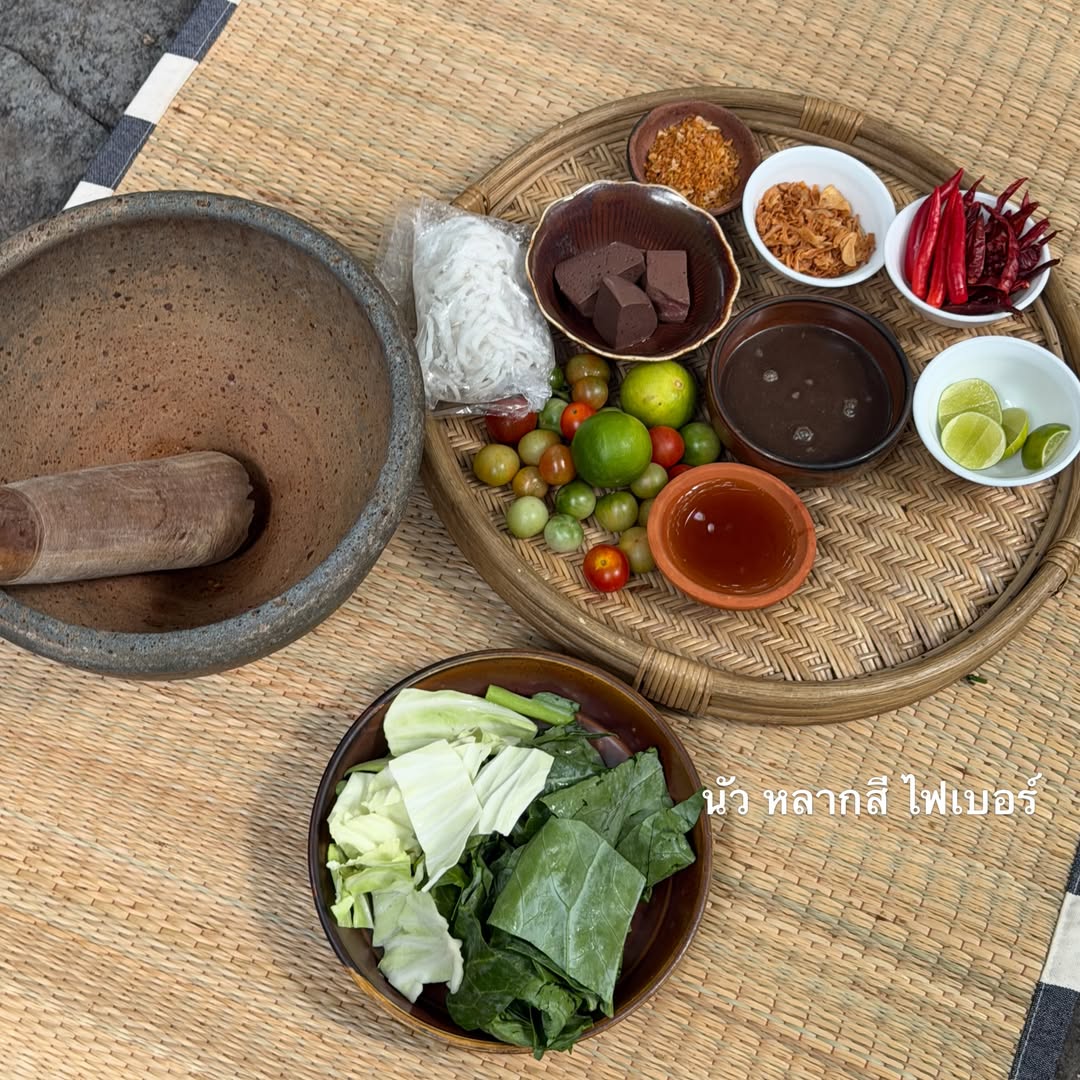 คารีสา สปริงเก็ตต์