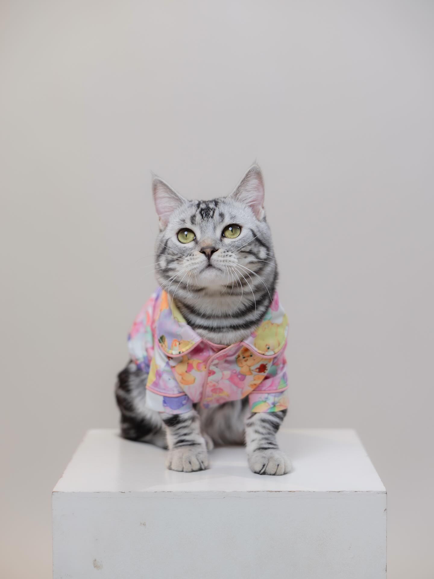 โฟกัส จีระกุล