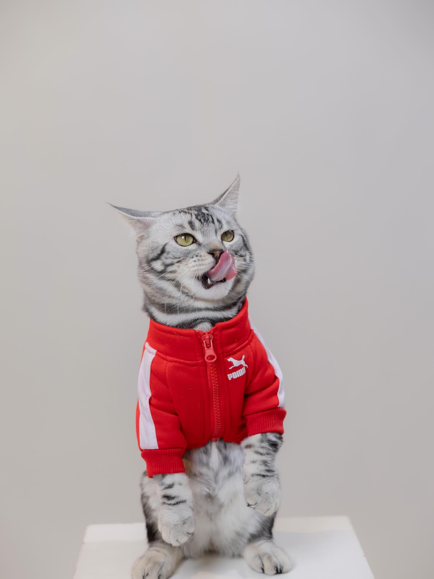 โฟกัส จีระกุล