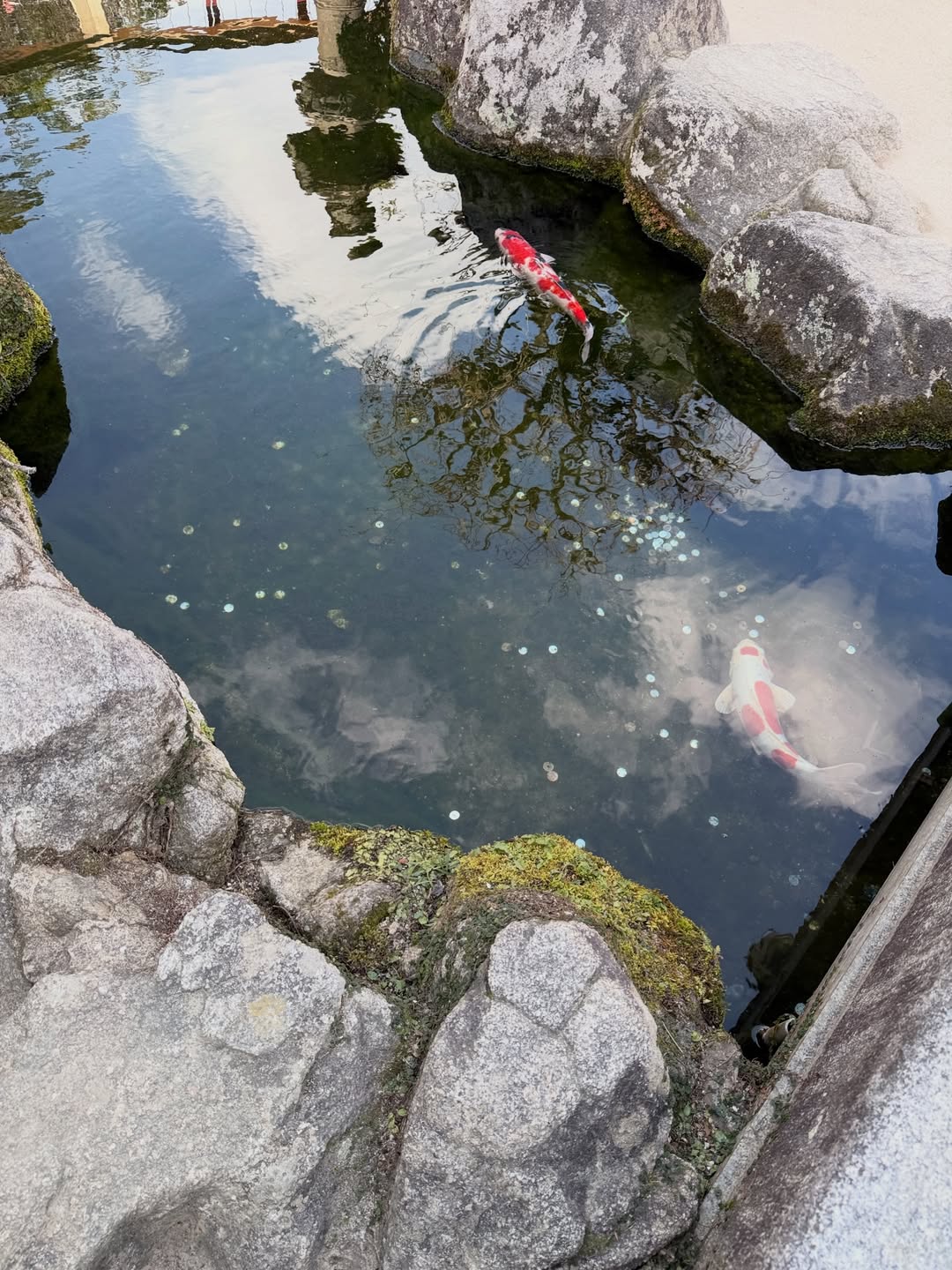 เฟิร์ส - คณพันธ์ ปุ้ยตระกูล