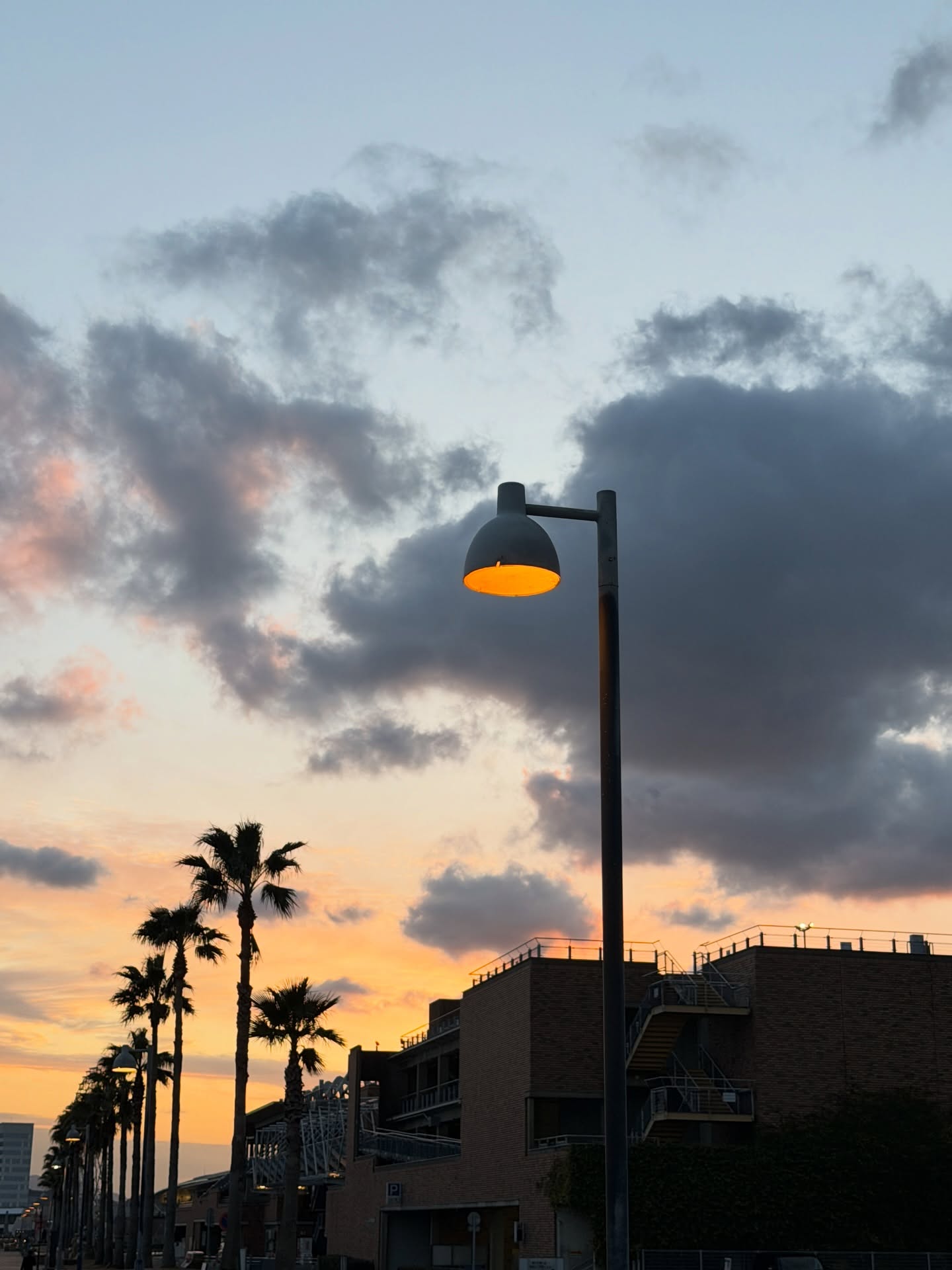 เฟิร์ส - คณพันธ์ ปุ้ยตระกูล