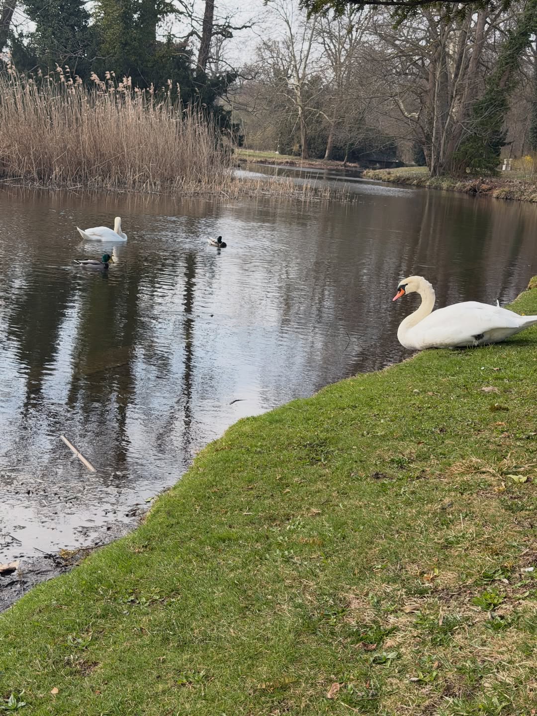 เฟิร์ส - คณพันธ์ ปุ้ยตระกูล
