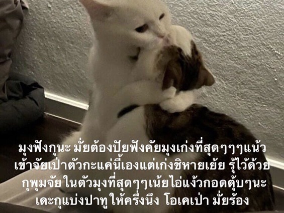 มิลลิ