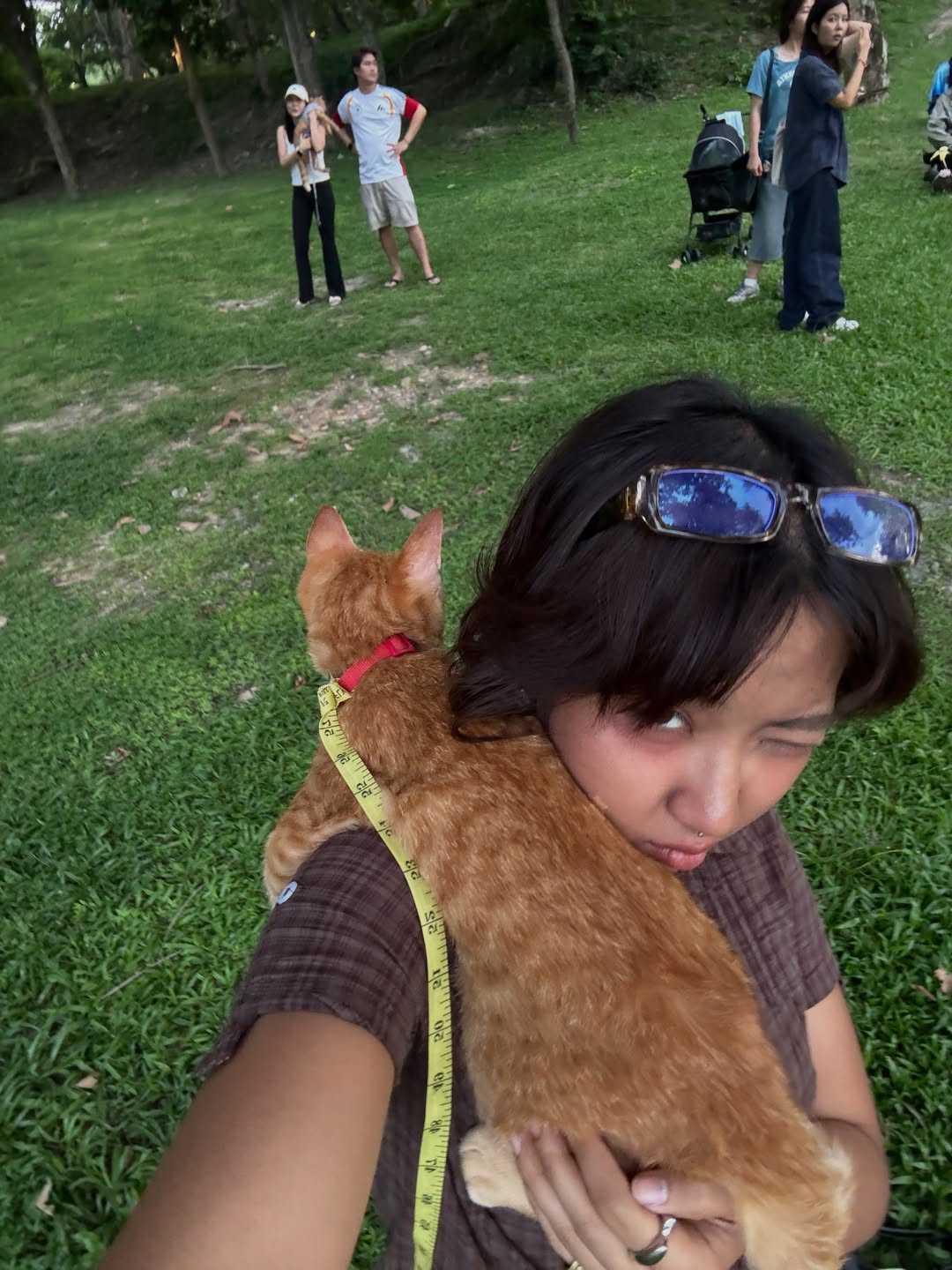 มิลลิ