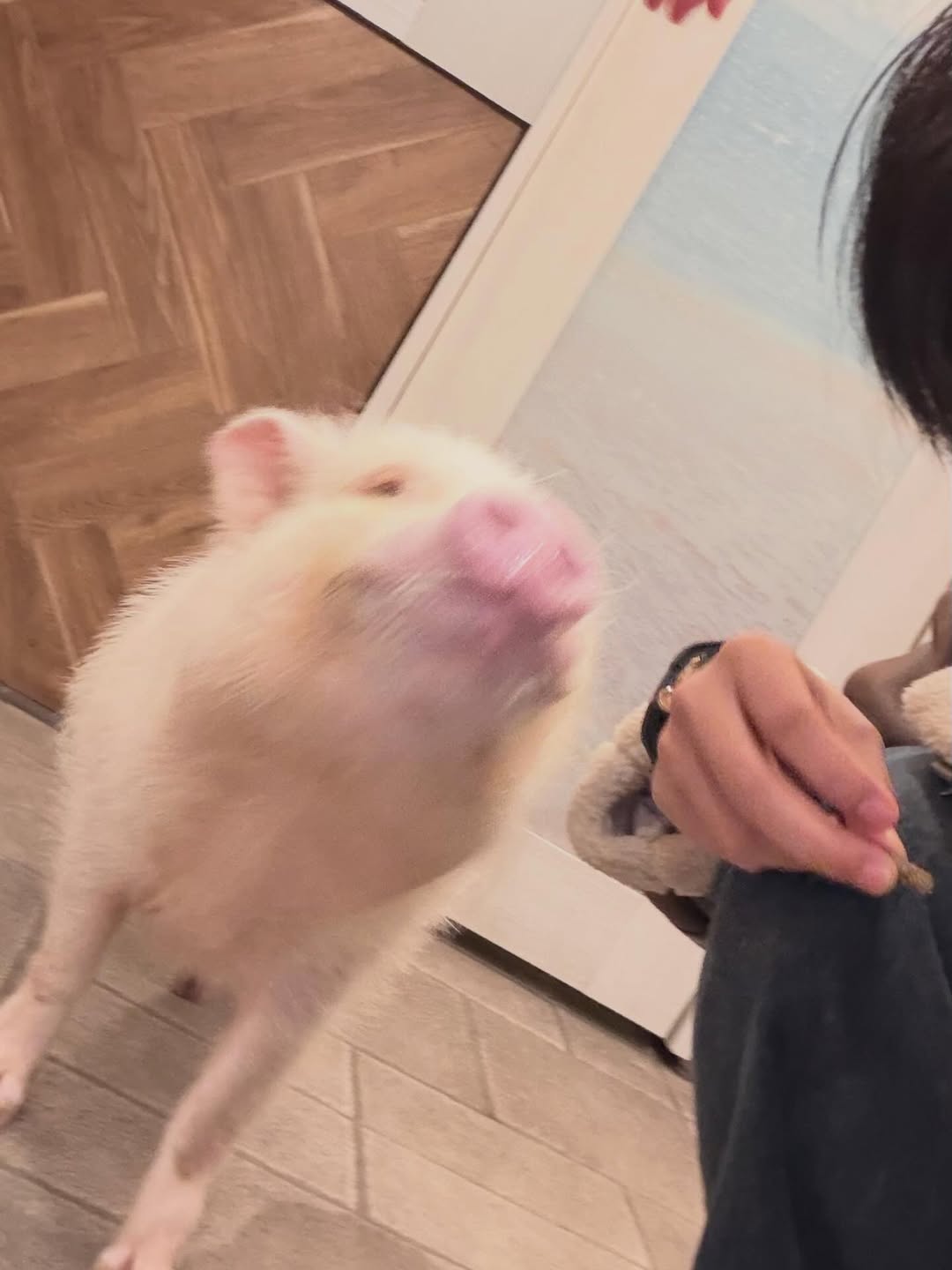 ฟอร์ด - ฐิติพงศ์ เซ่งง่าย