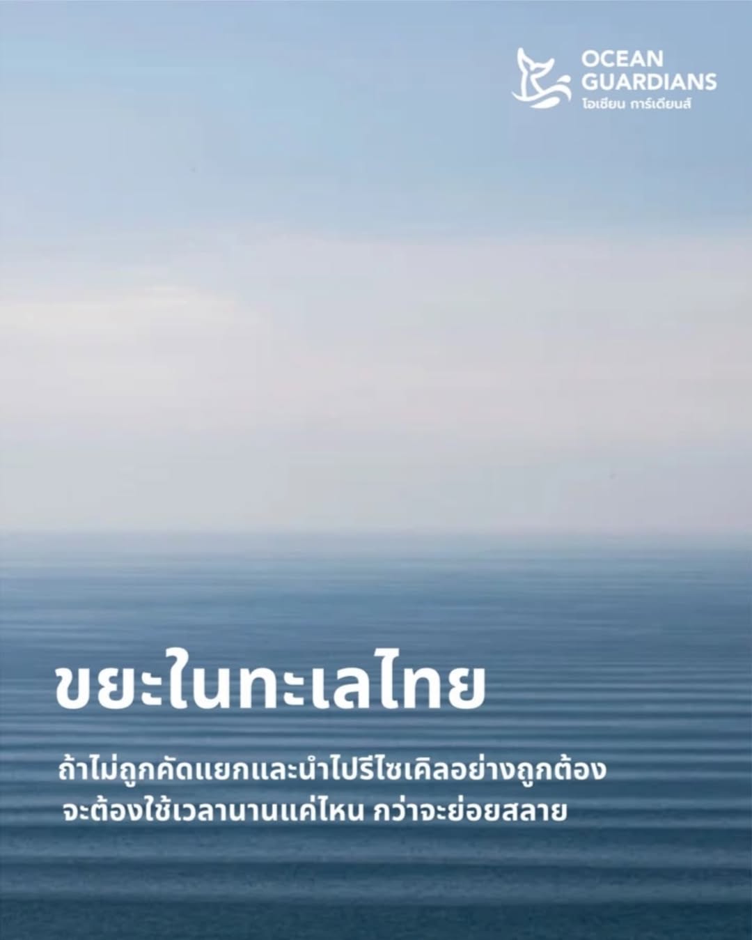 วาววา - ณิชารีย์ โชคประจักษ์ชัด