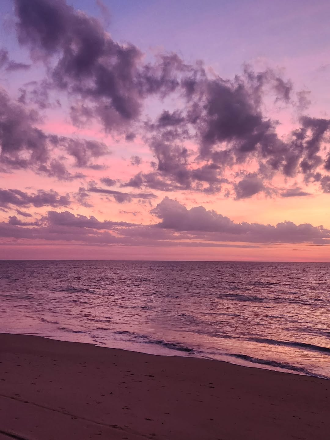 วาววา - ณิชารีย์ โชคประจักษ์ชัด