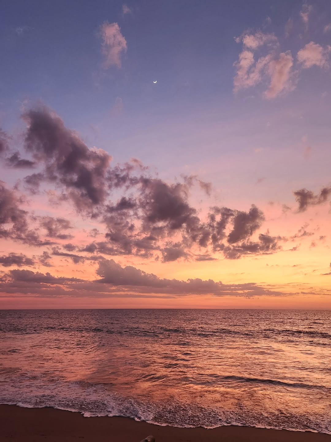 วาววา - ณิชารีย์ โชคประจักษ์ชัด