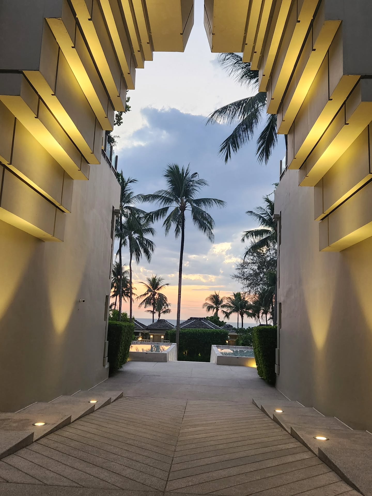 วาววา - ณิชารีย์ โชคประจักษ์ชัด