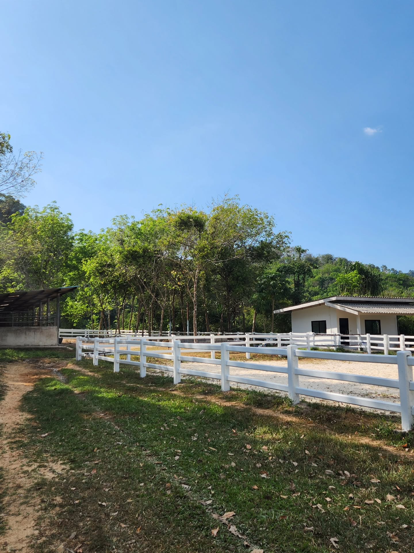 วาววา - ณิชารีย์ โชคประจักษ์ชัด