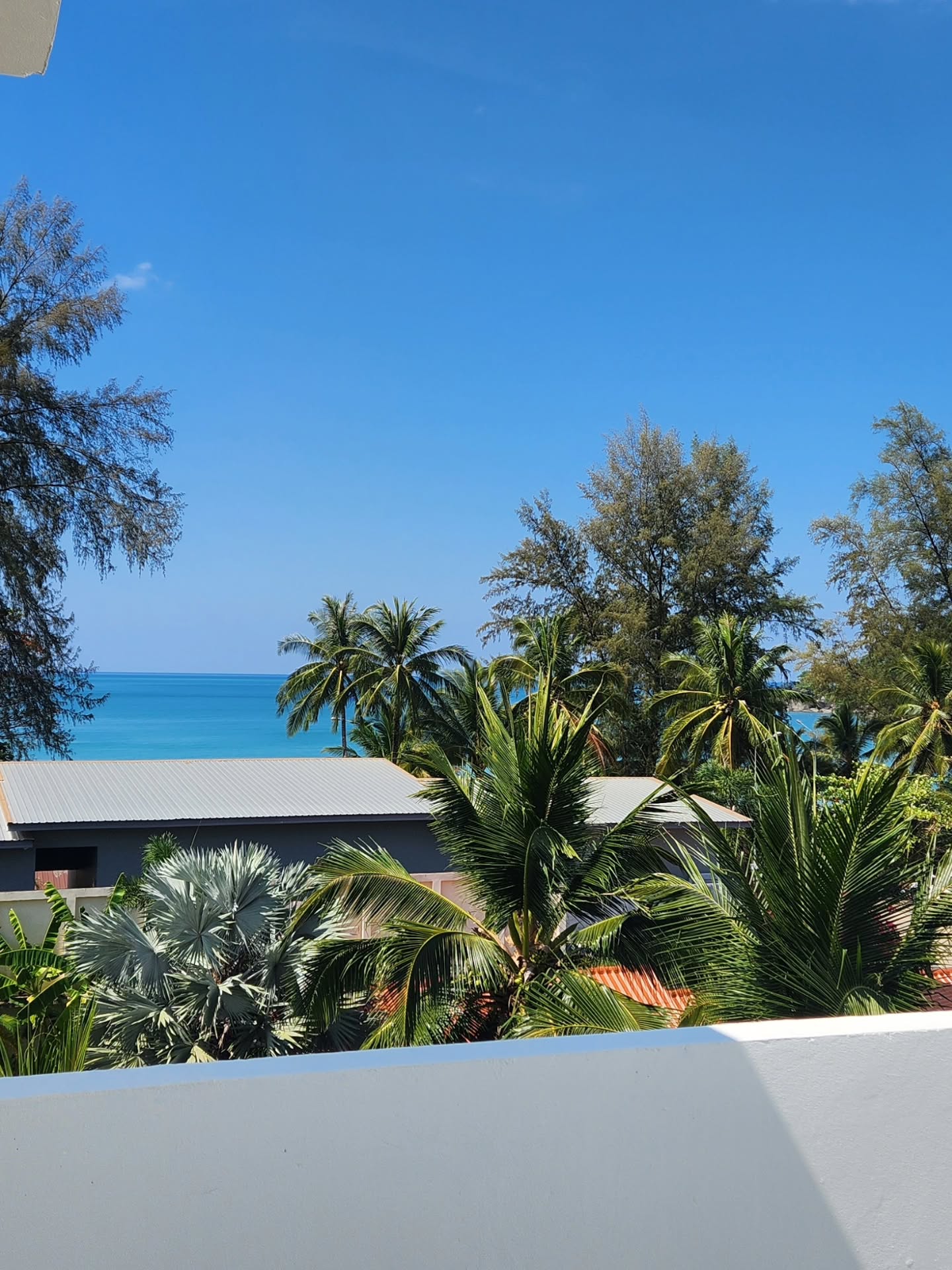 วาววา - ณิชารีย์ โชคประจักษ์ชัด