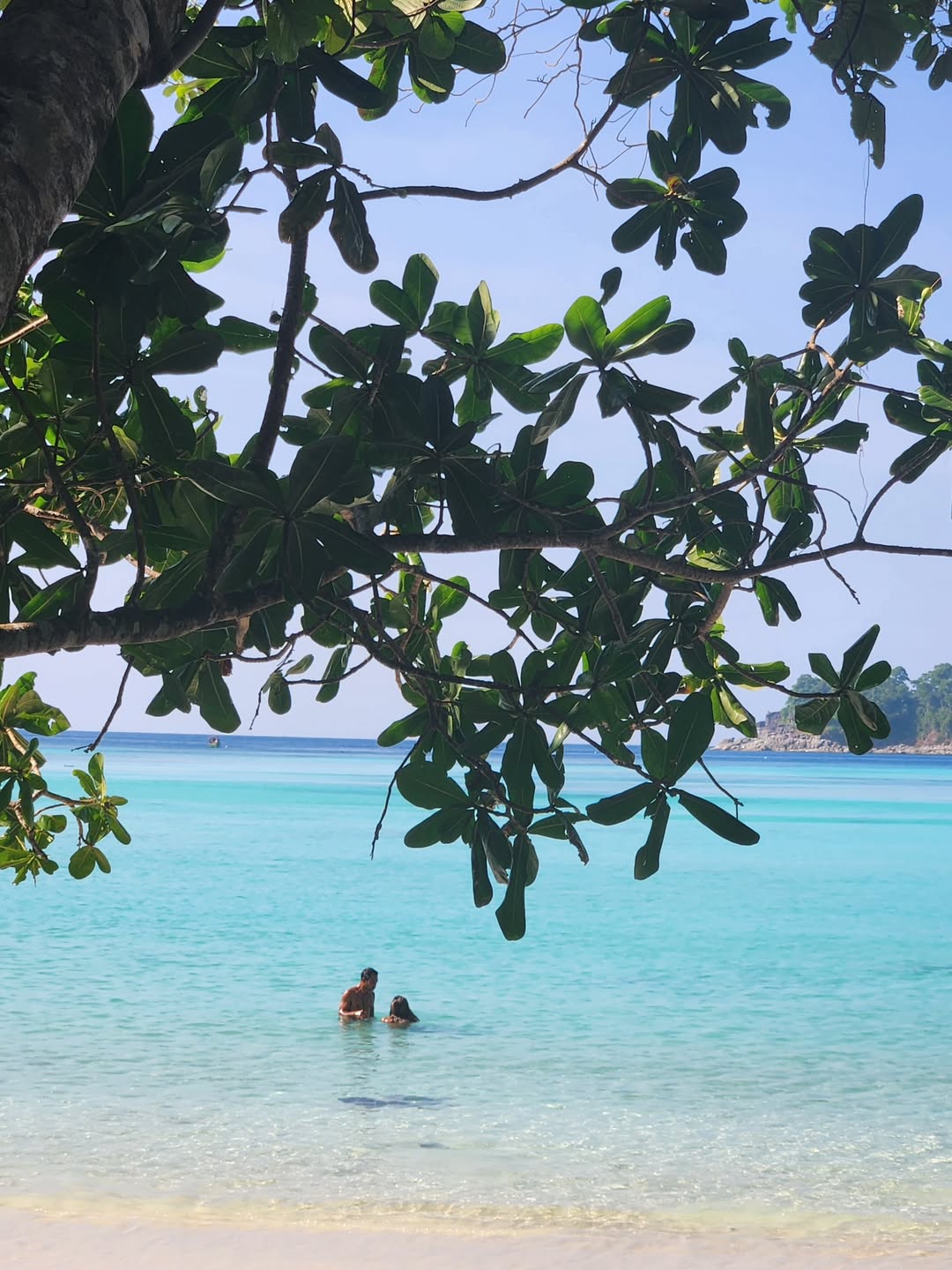 วาววา - ณิชารีย์ โชคประจักษ์ชัด