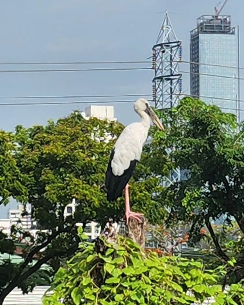 สกาย - วงศ์รวี นทีธร