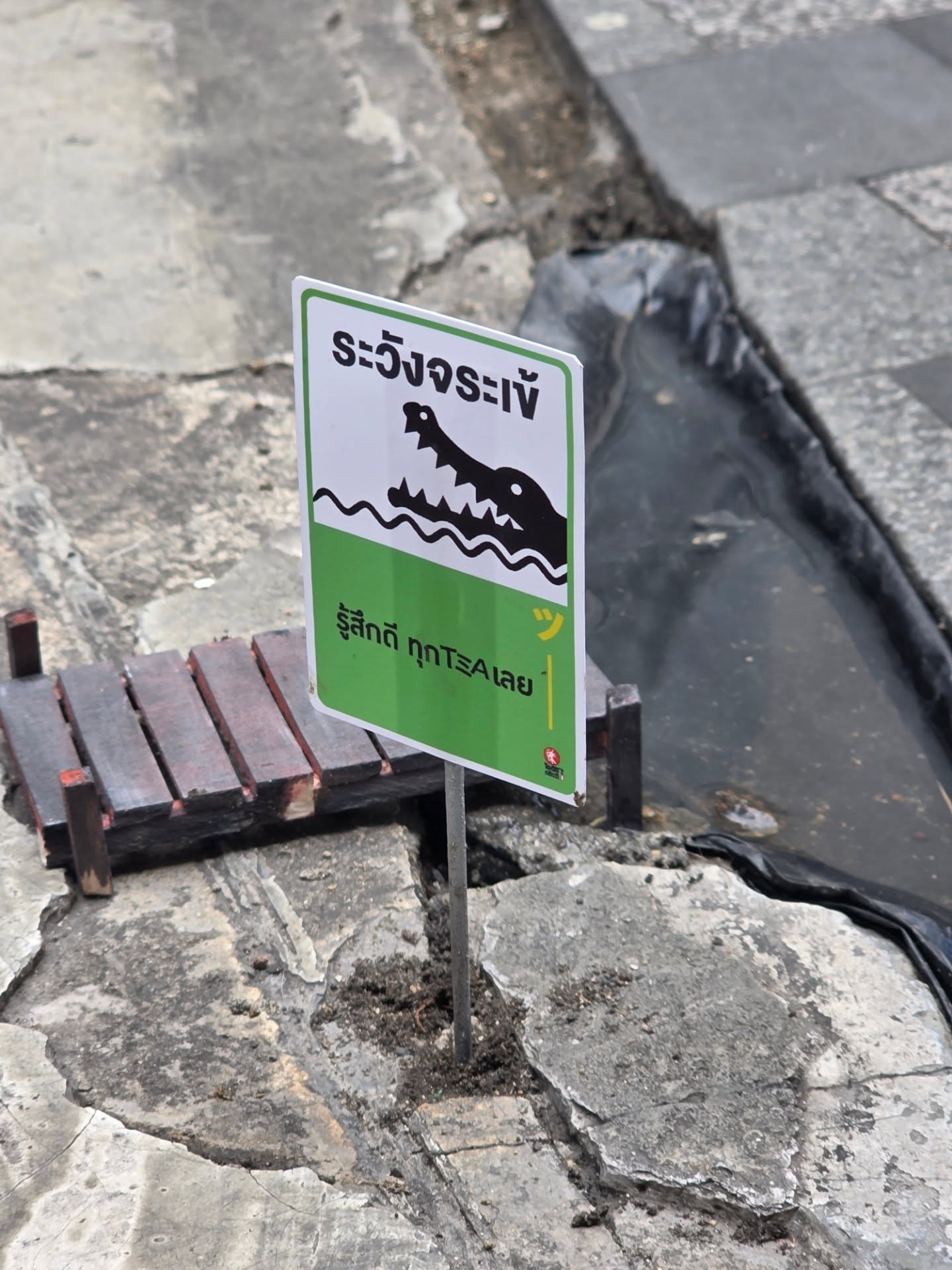 สกาย - วงศ์รวี นทีธร