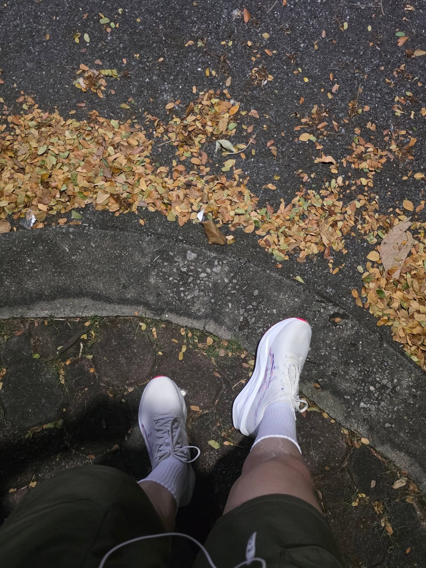 สกาย - วงศ์รวี นทีธร