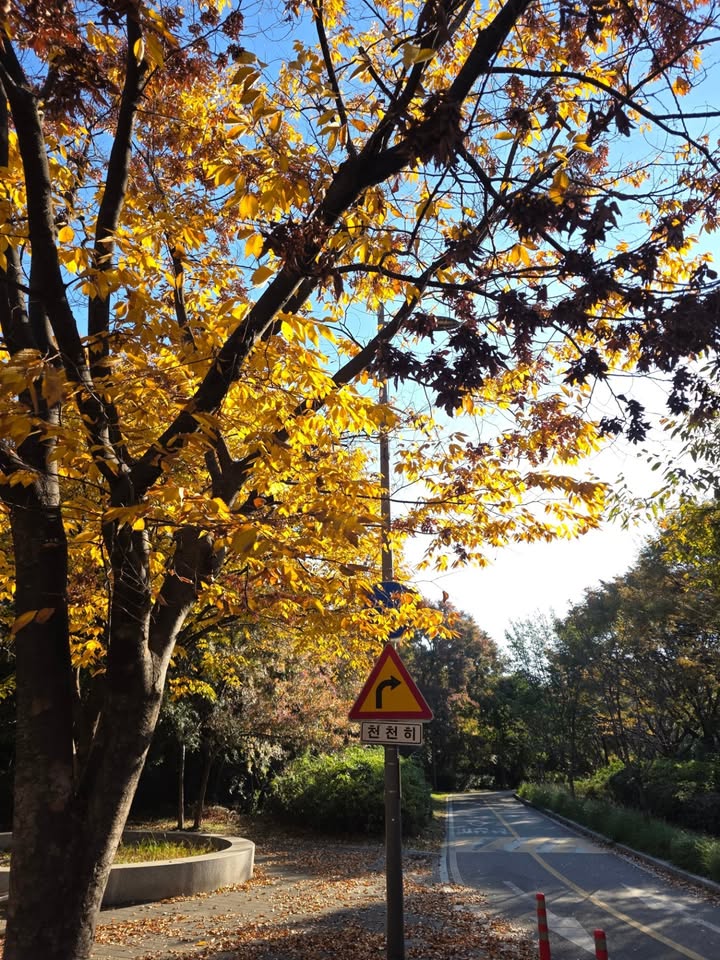 สกาย - วงศ์รวี นทีธร