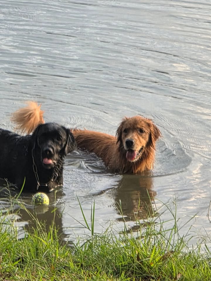 สกาย - วงศ์รวี นทีธร