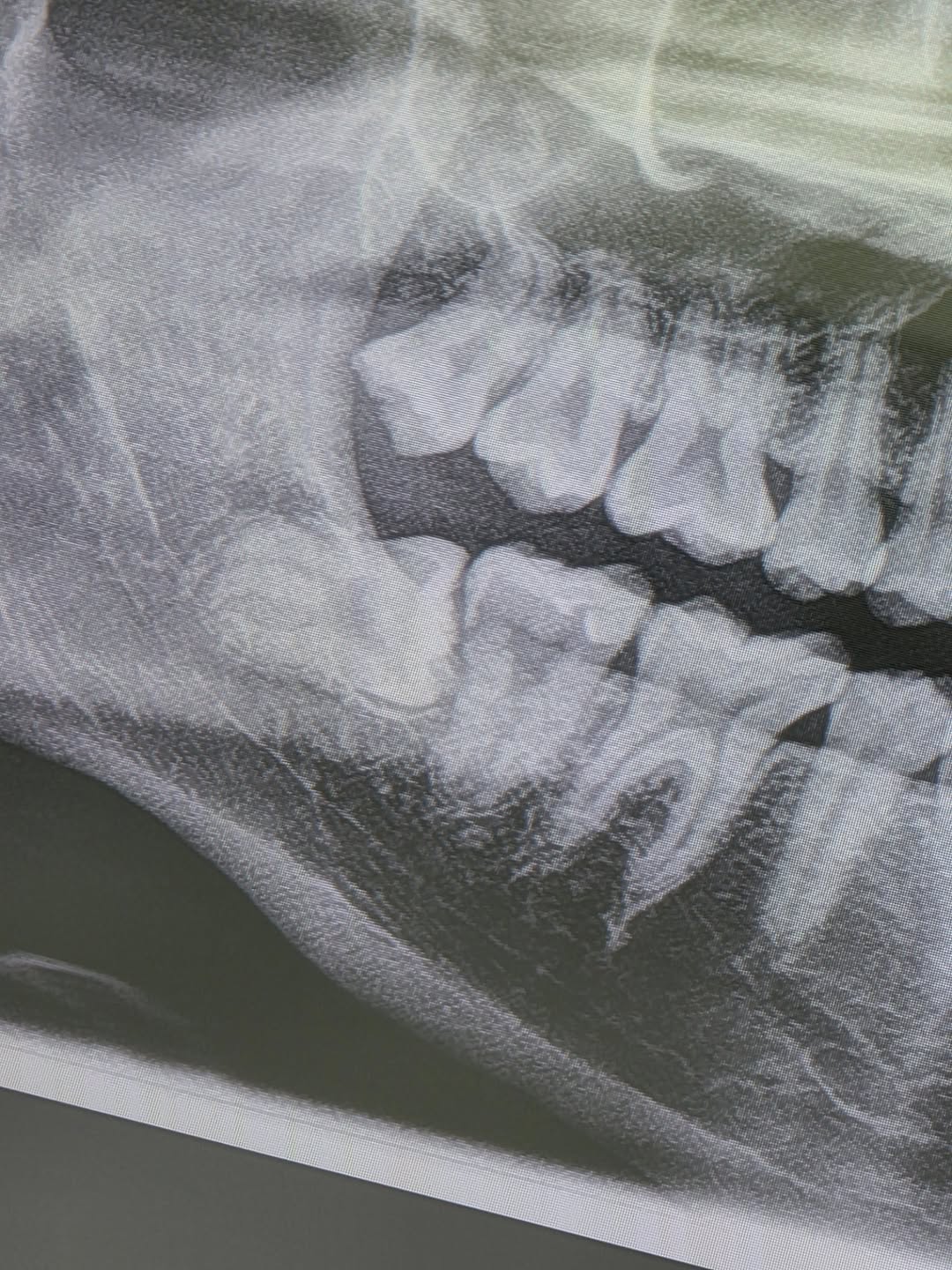 สกาย - วงศ์รวี นทีธร