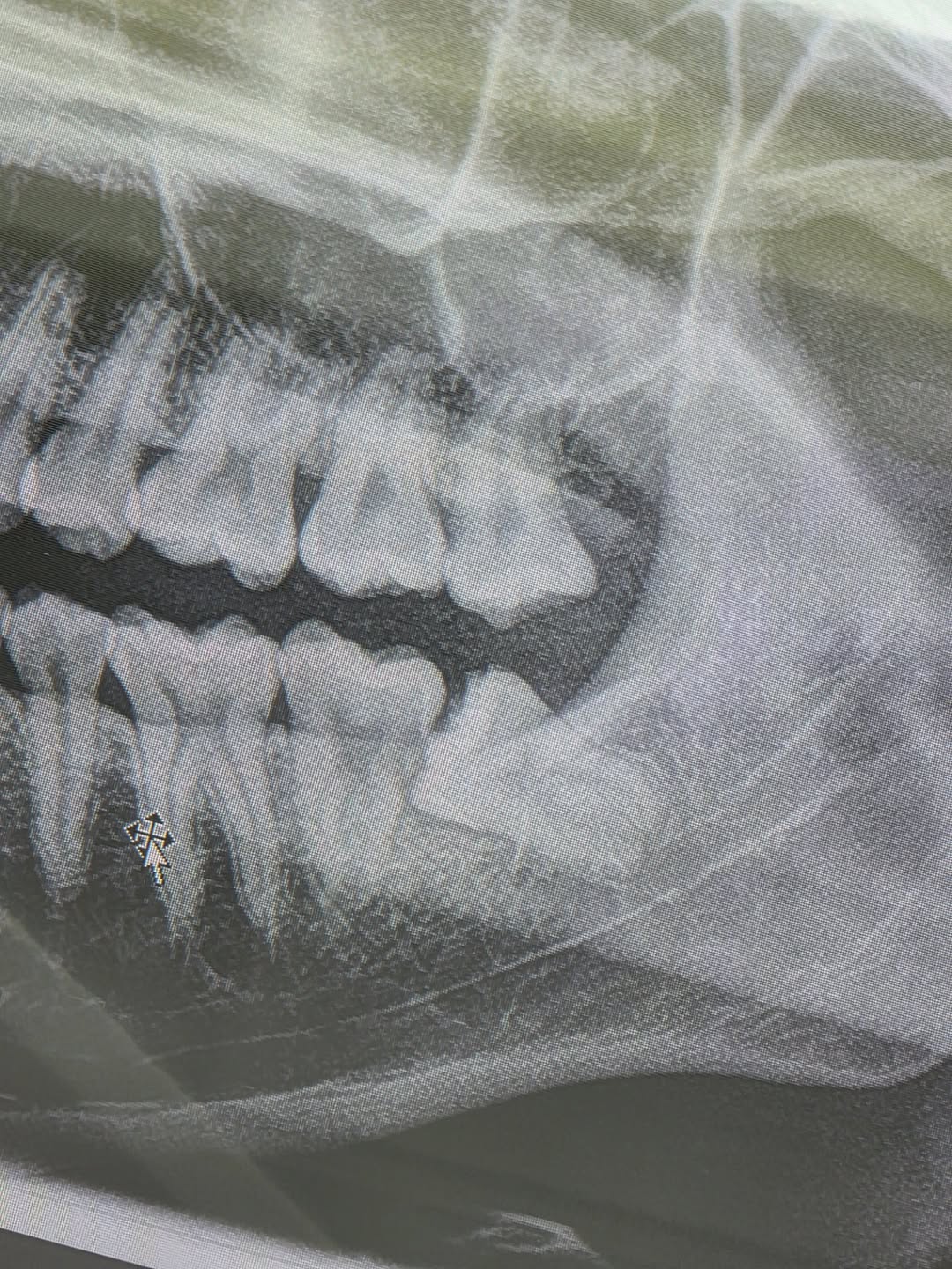 สกาย - วงศ์รวี นทีธร