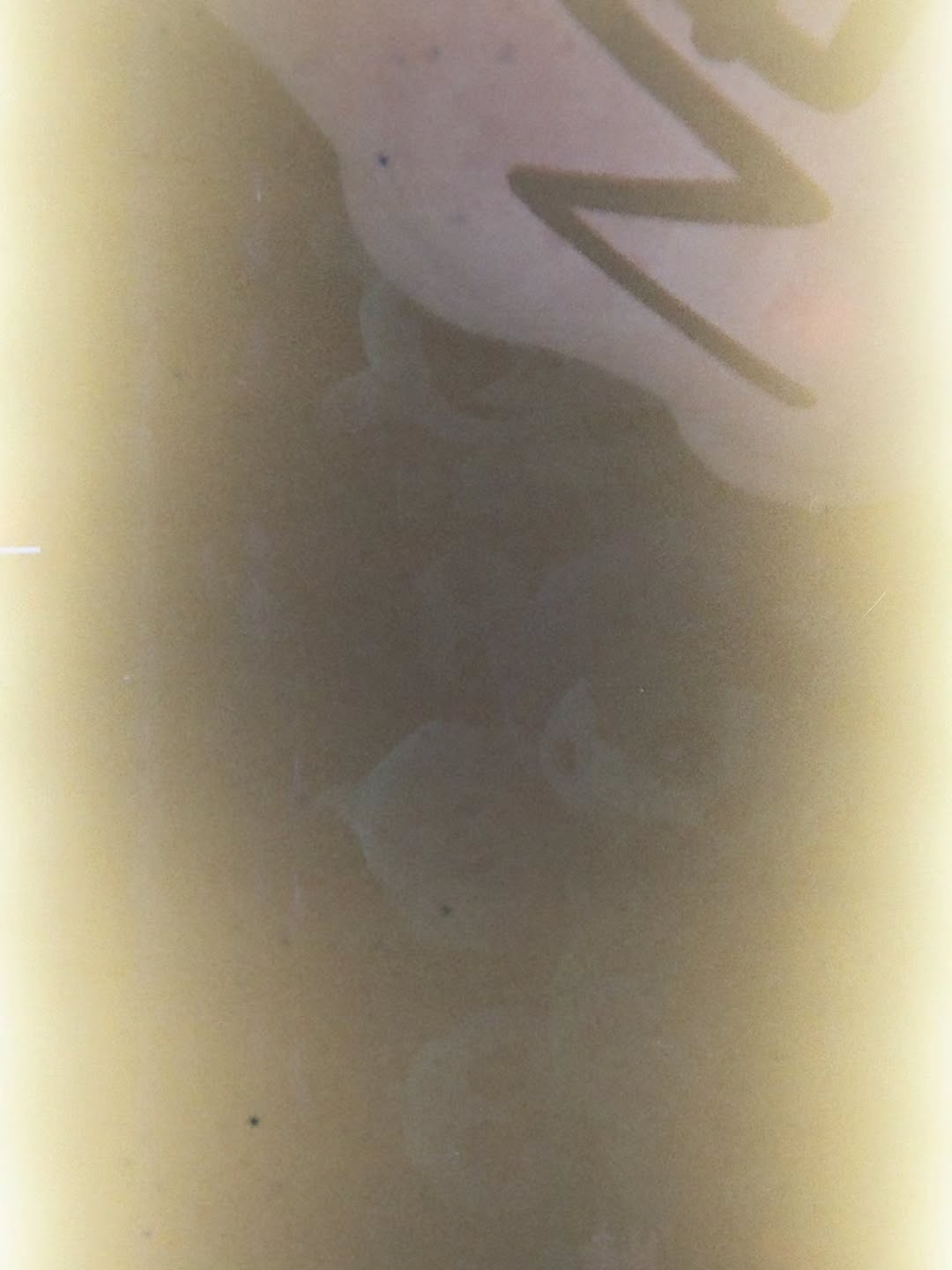 สกาย - วงศ์รวี นทีธร