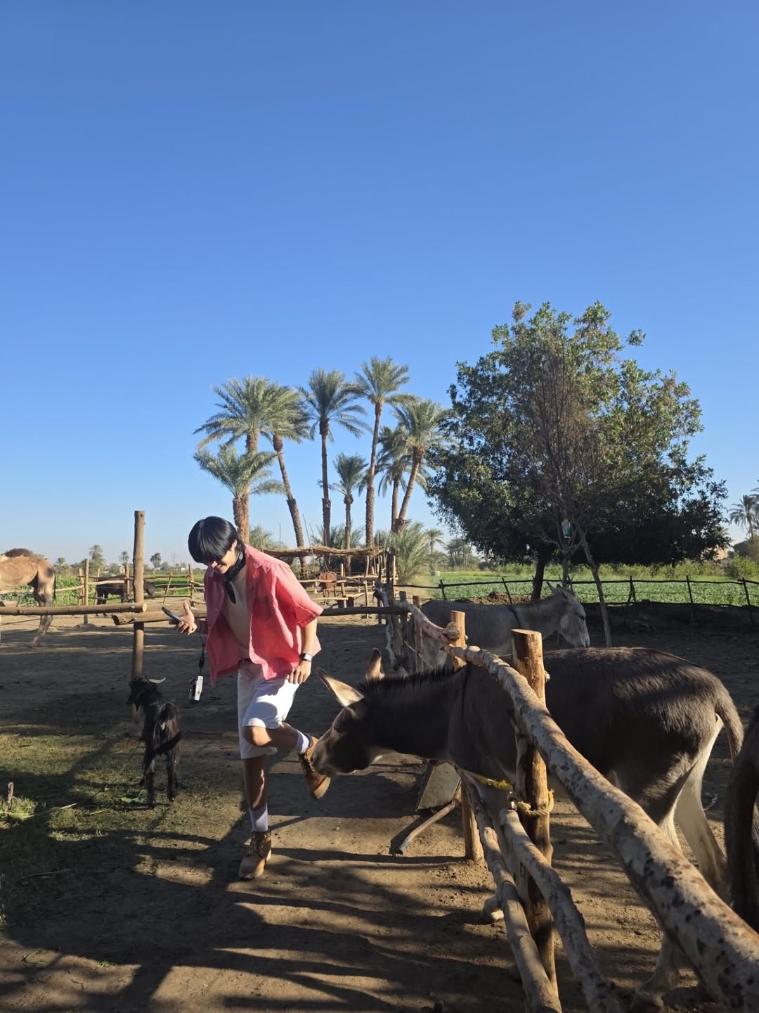 สกาย - วงศ์รวี นทีธร