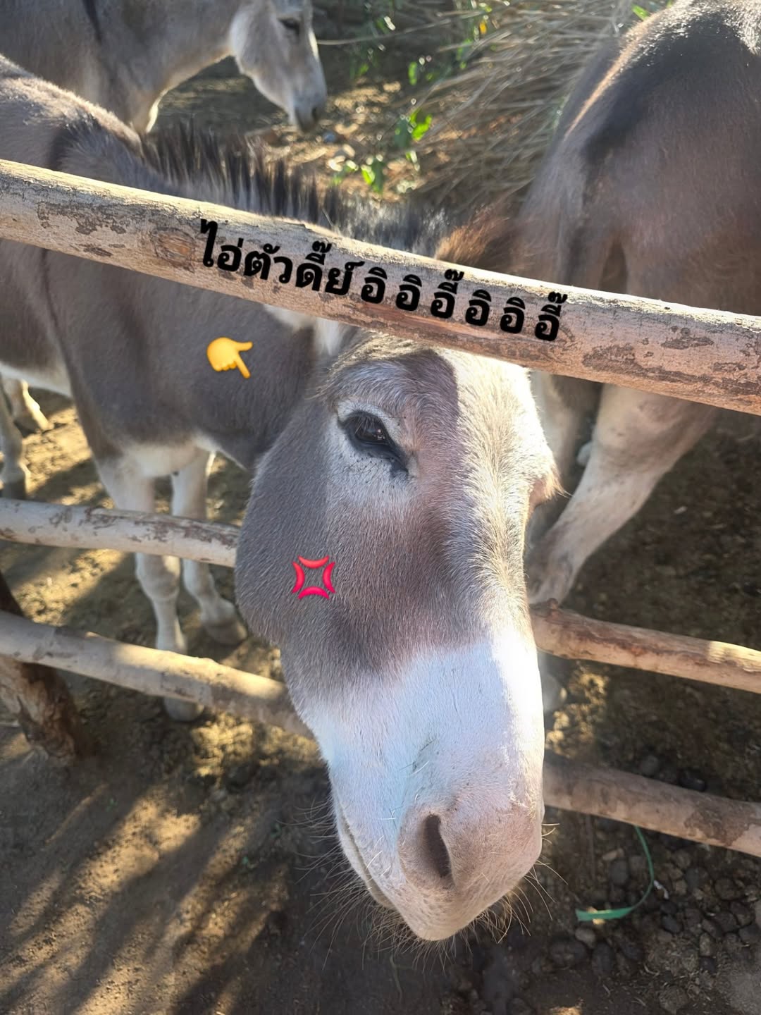 สกาย - วงศ์รวี นทีธร