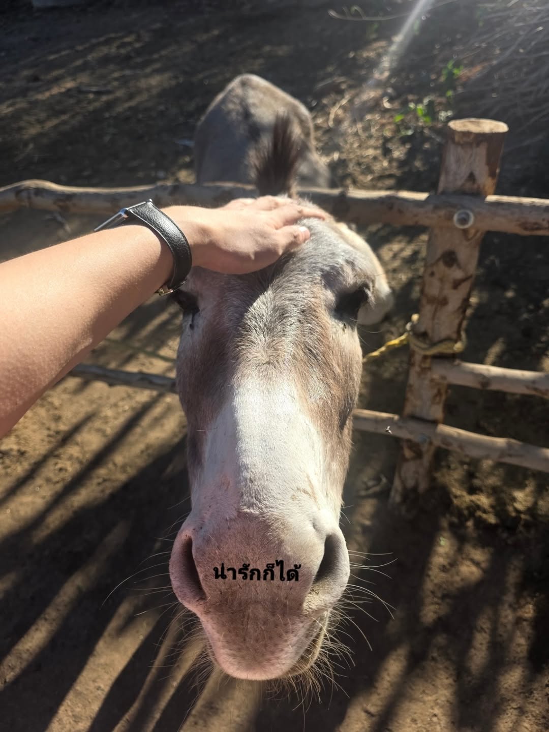 สกาย - วงศ์รวี นทีธร