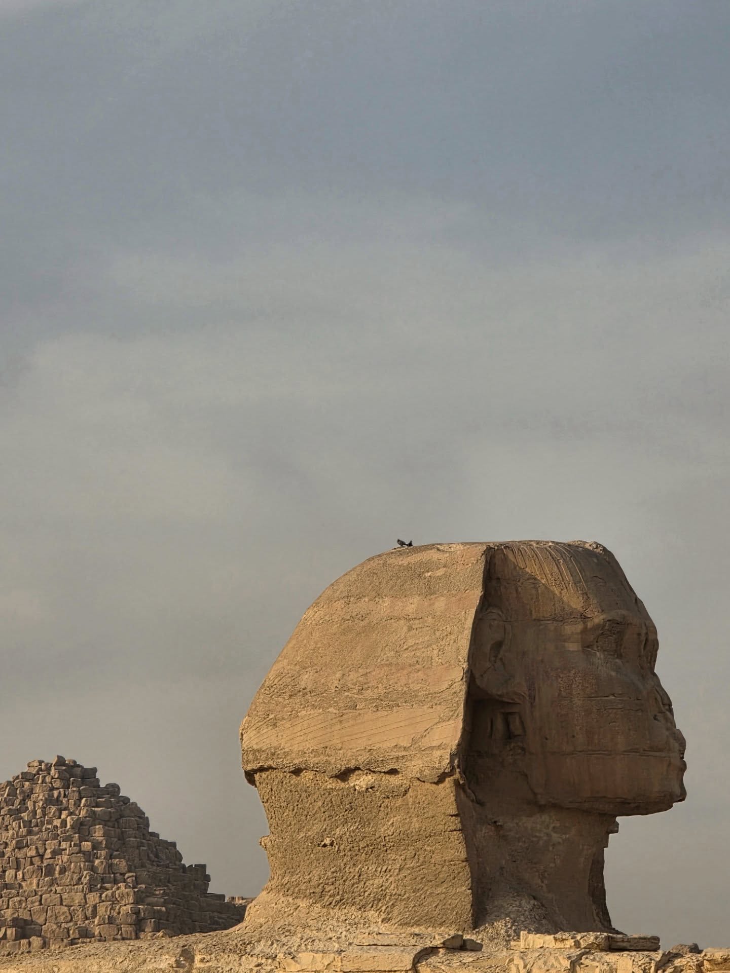 สกาย - วงศ์รวี นทีธร