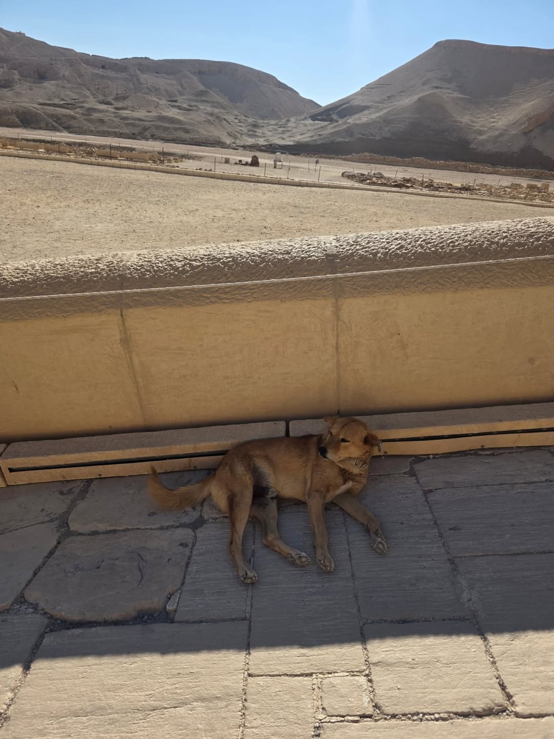 สกาย - วงศ์รวี นทีธร