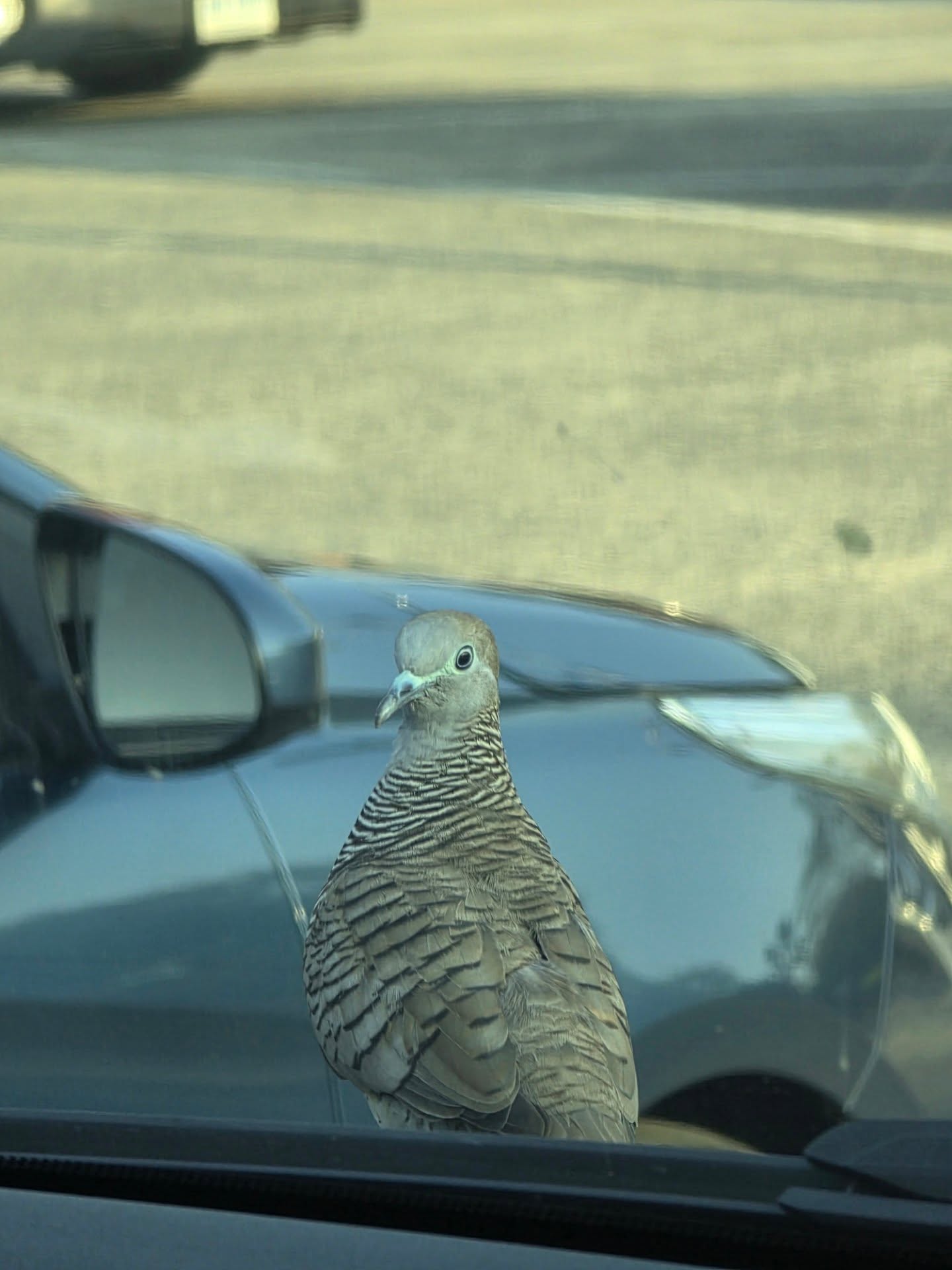 สกาย - วงศ์รวี นทีธร