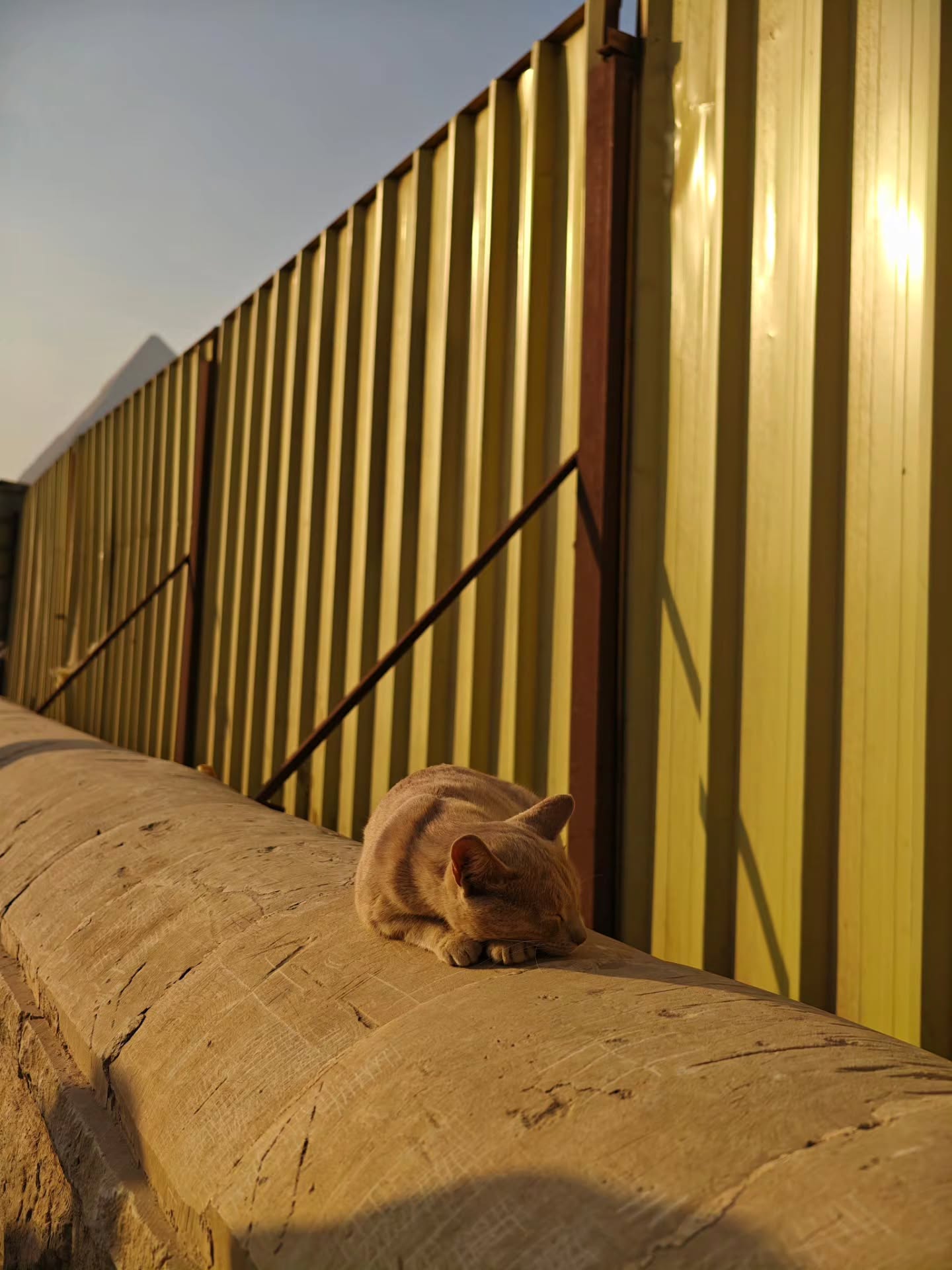 สกาย - วงศ์รวี นทีธร