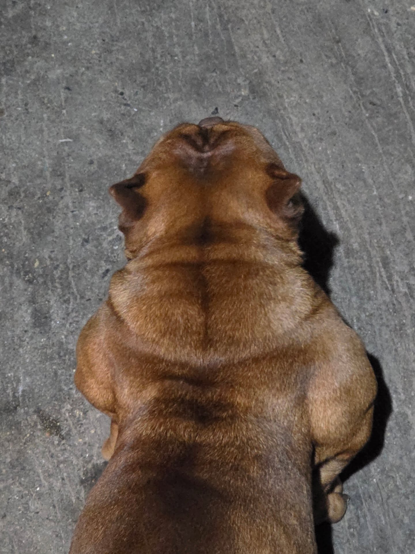 สกาย - วงศ์รวี นทีธร