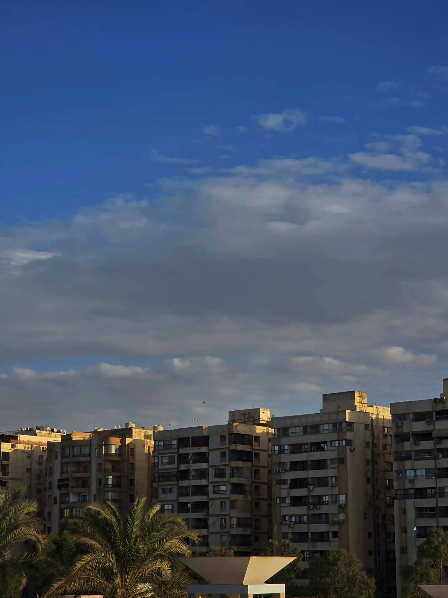 สกาย - วงศ์รวี นทีธร