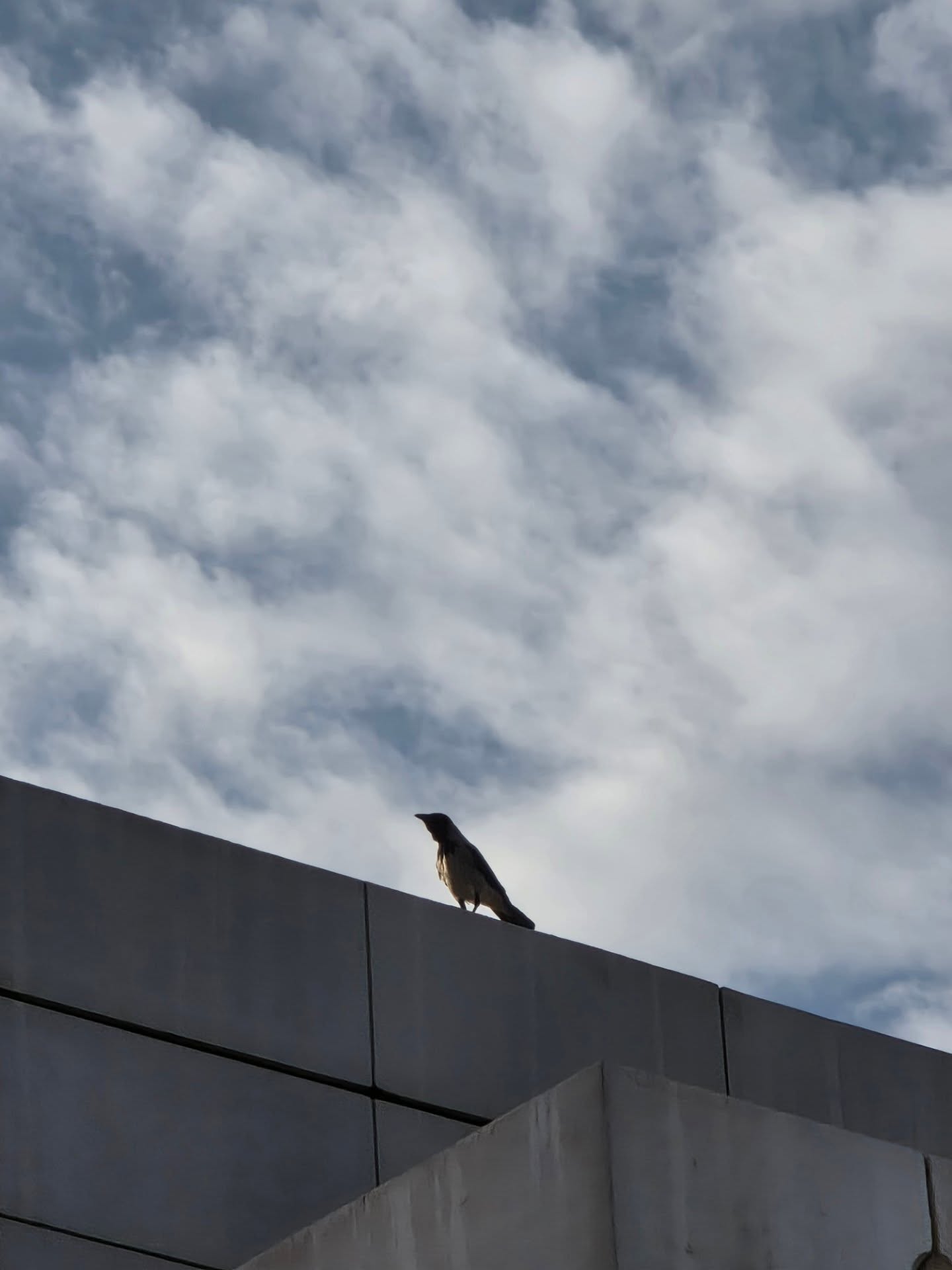 สกาย - วงศ์รวี นทีธร