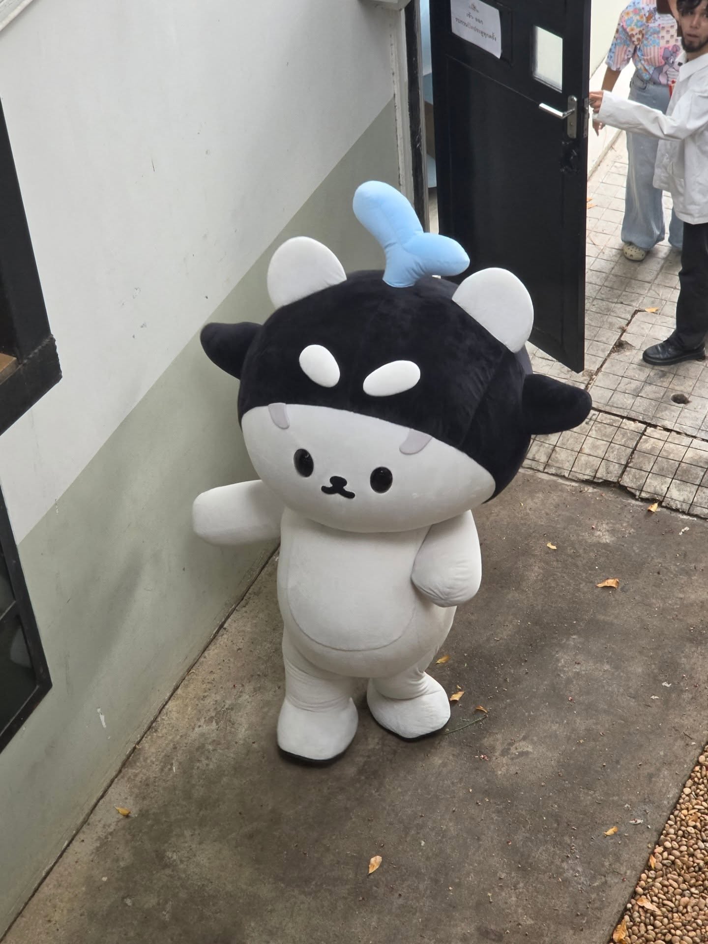 สกาย - วงศ์รวี นทีธร