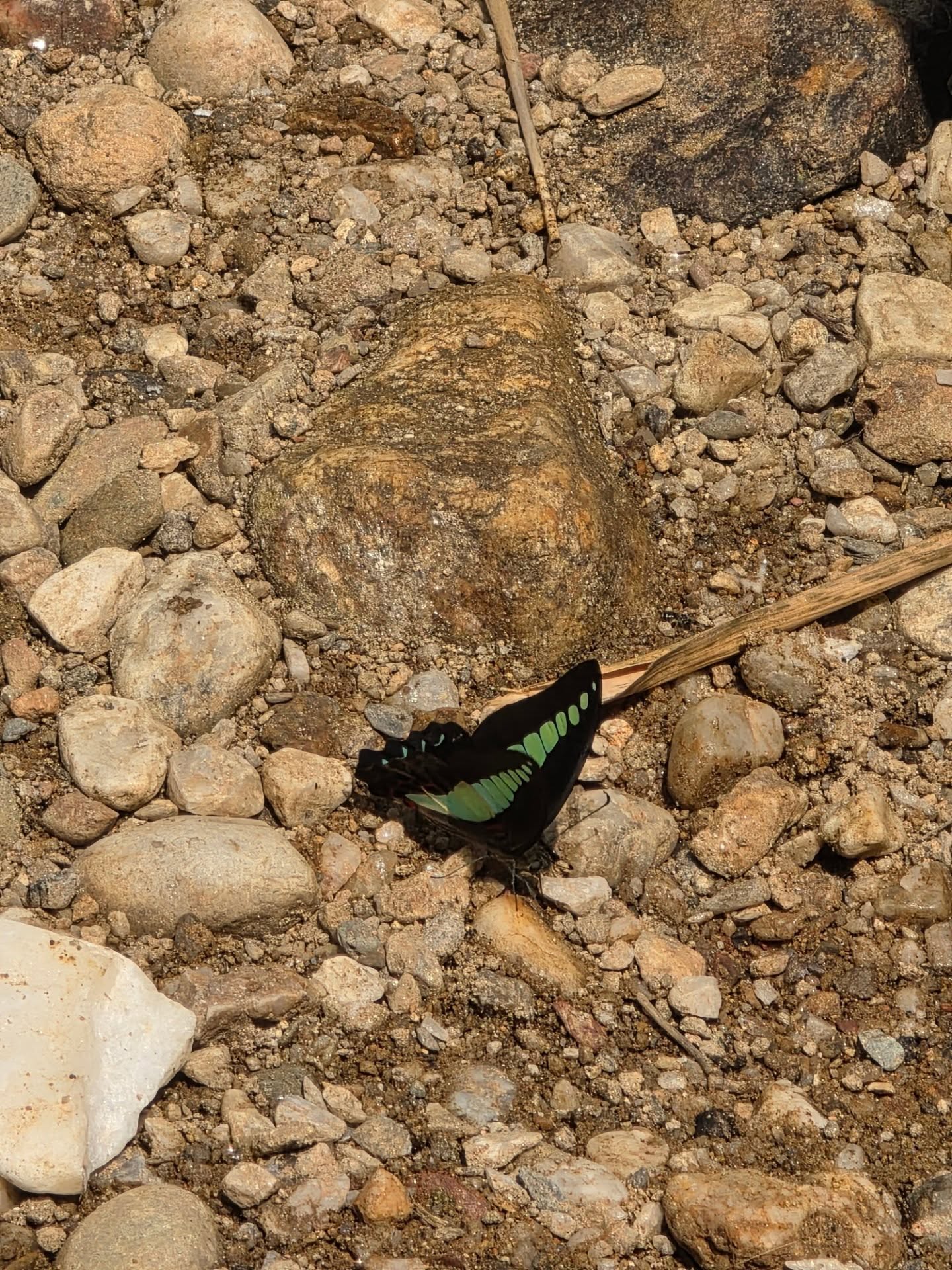 สกาย - วงศ์รวี นทีธร