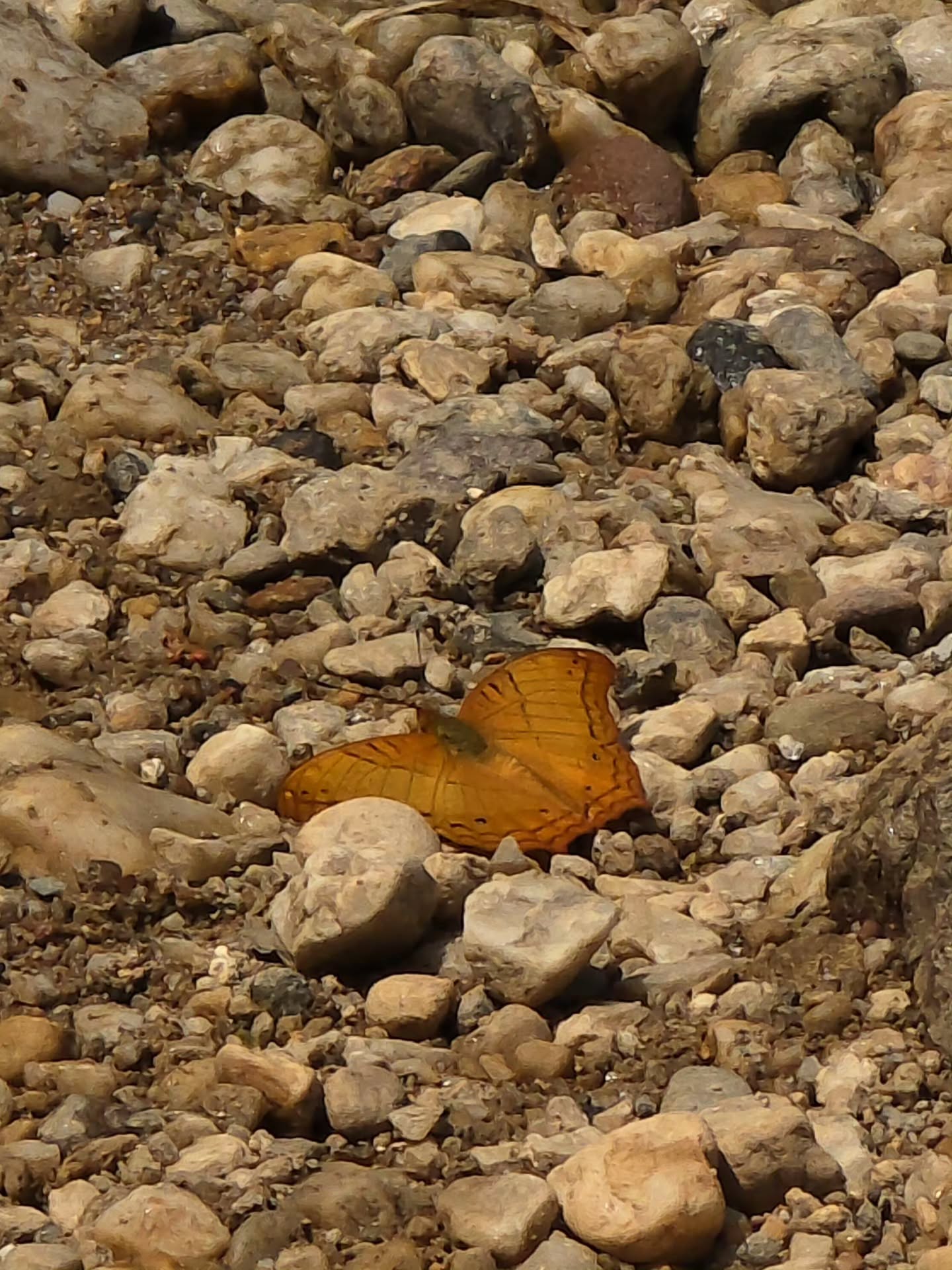สกาย - วงศ์รวี นทีธร