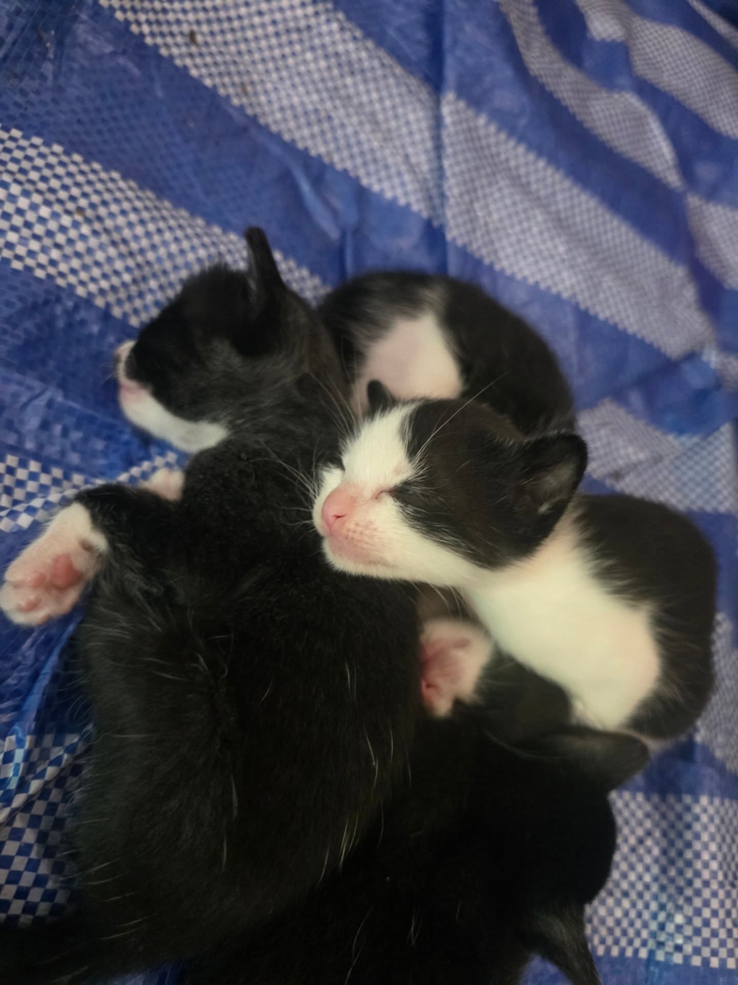 สกาย - วงศ์รวี นทีธร