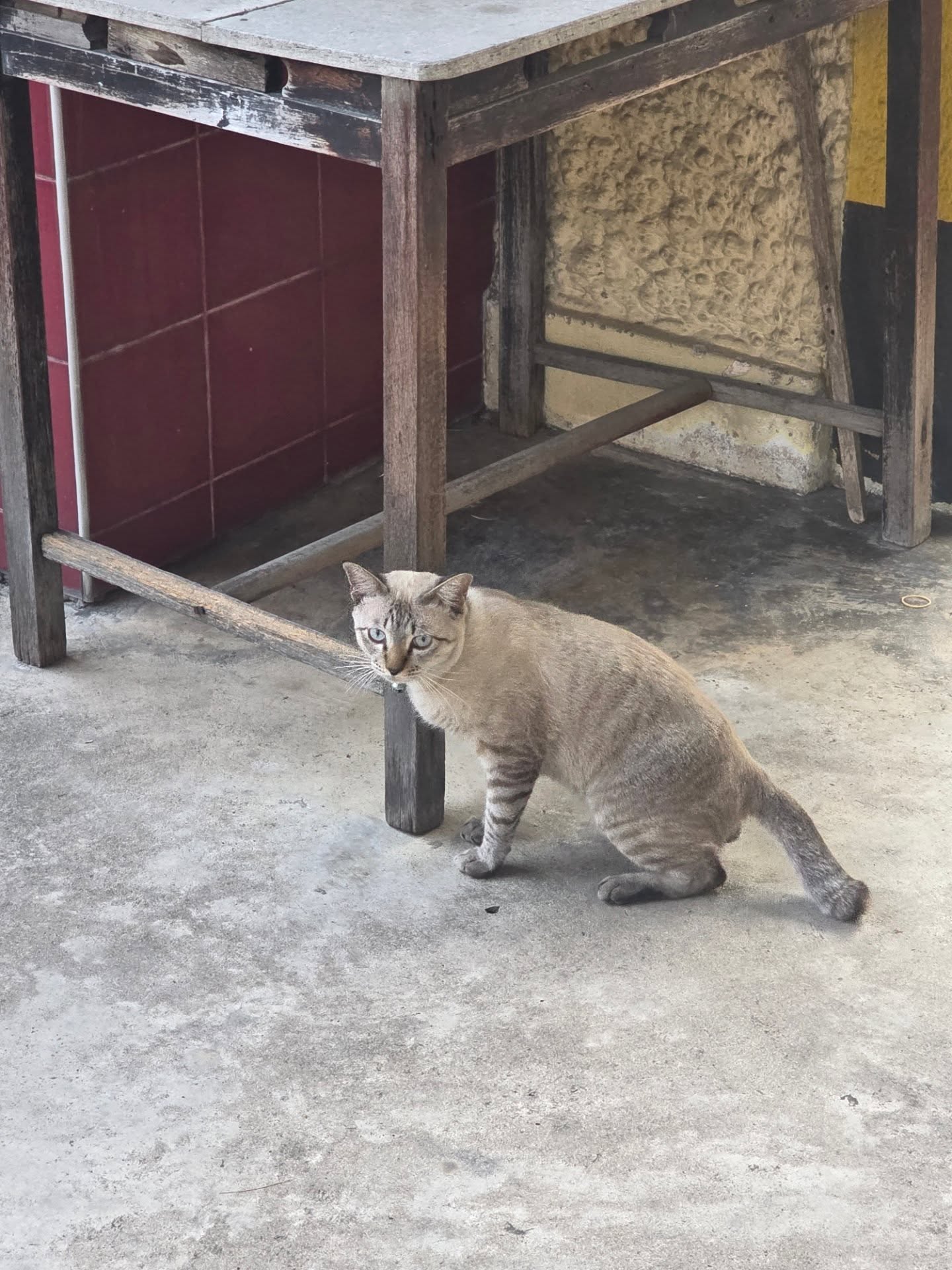 สกาย - วงศ์รวี นทีธร