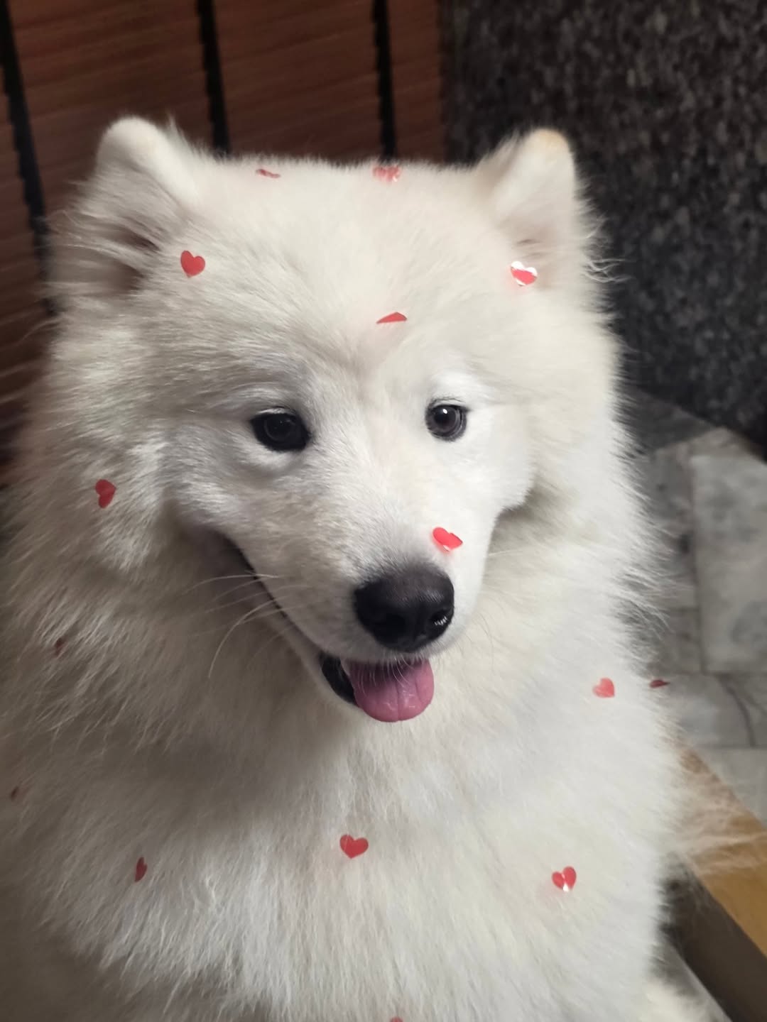 สกาย - วงศ์รวี นทีธร