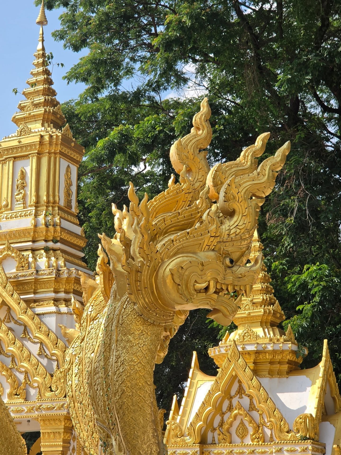 สกาย - วงศ์รวี นทีธร