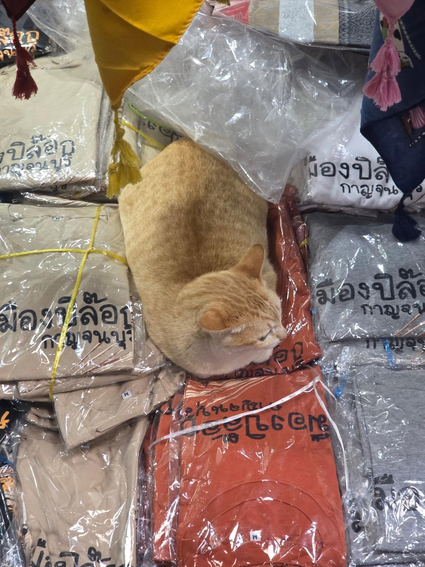 สกาย - วงศ์รวี นทีธร